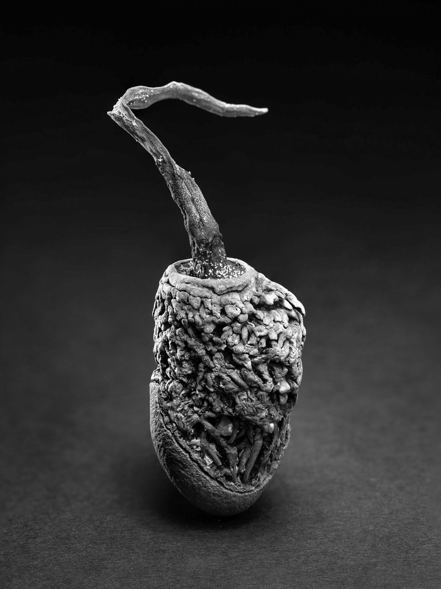 still life test12/12/21photo - Peter Mathew