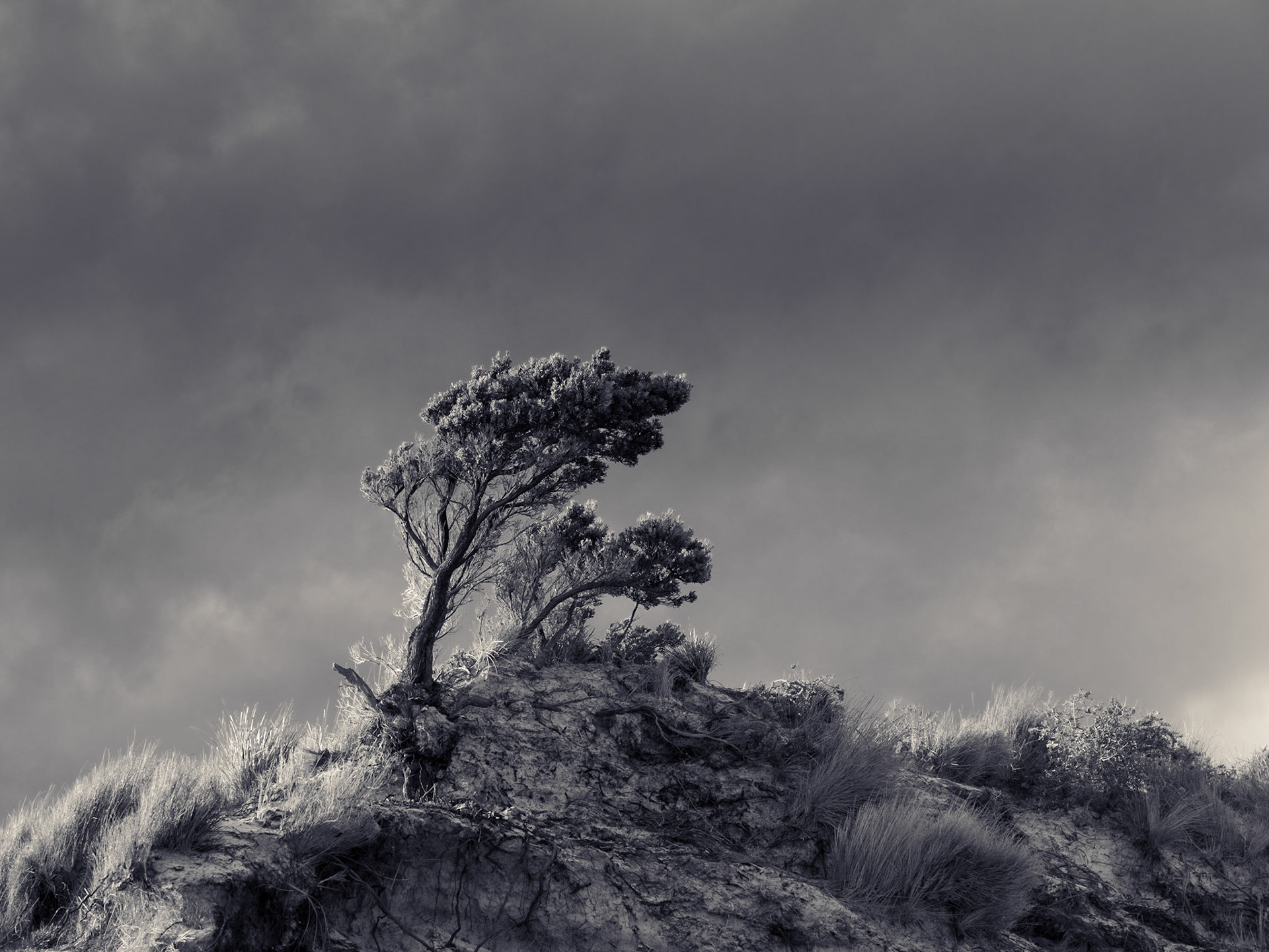 Lime Bay 08/2021photo - Peter Mathew