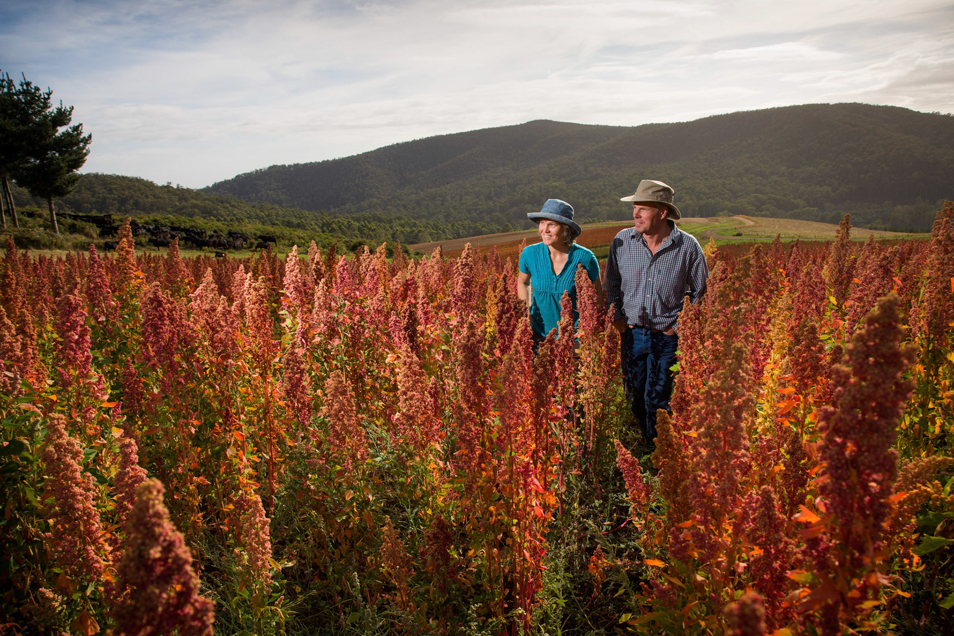 Lauran &amp; Henriette Damen of Kindred Organics with  Quinoa crop.