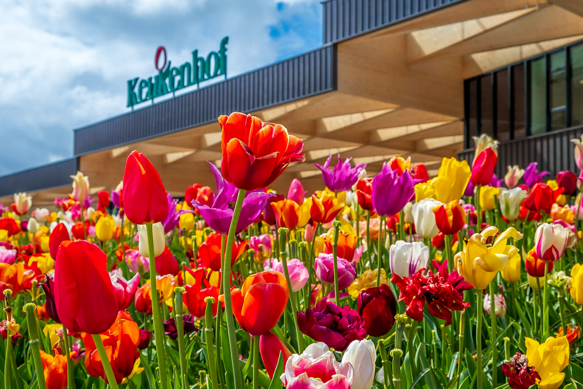 2019 | Netherlands, Keukenhof