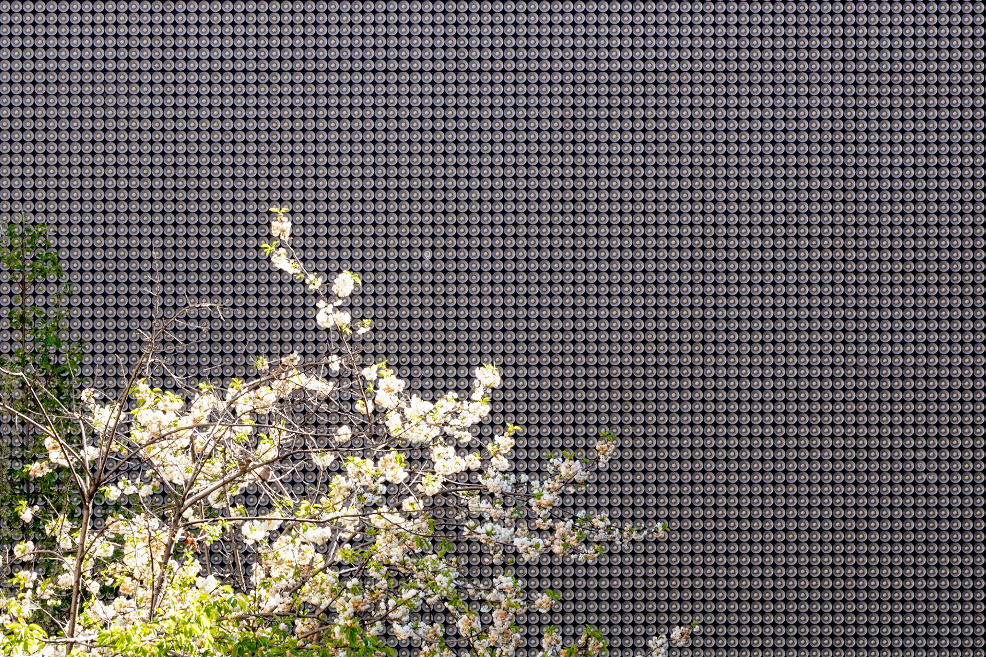 Barrio de las Letras, Madrid