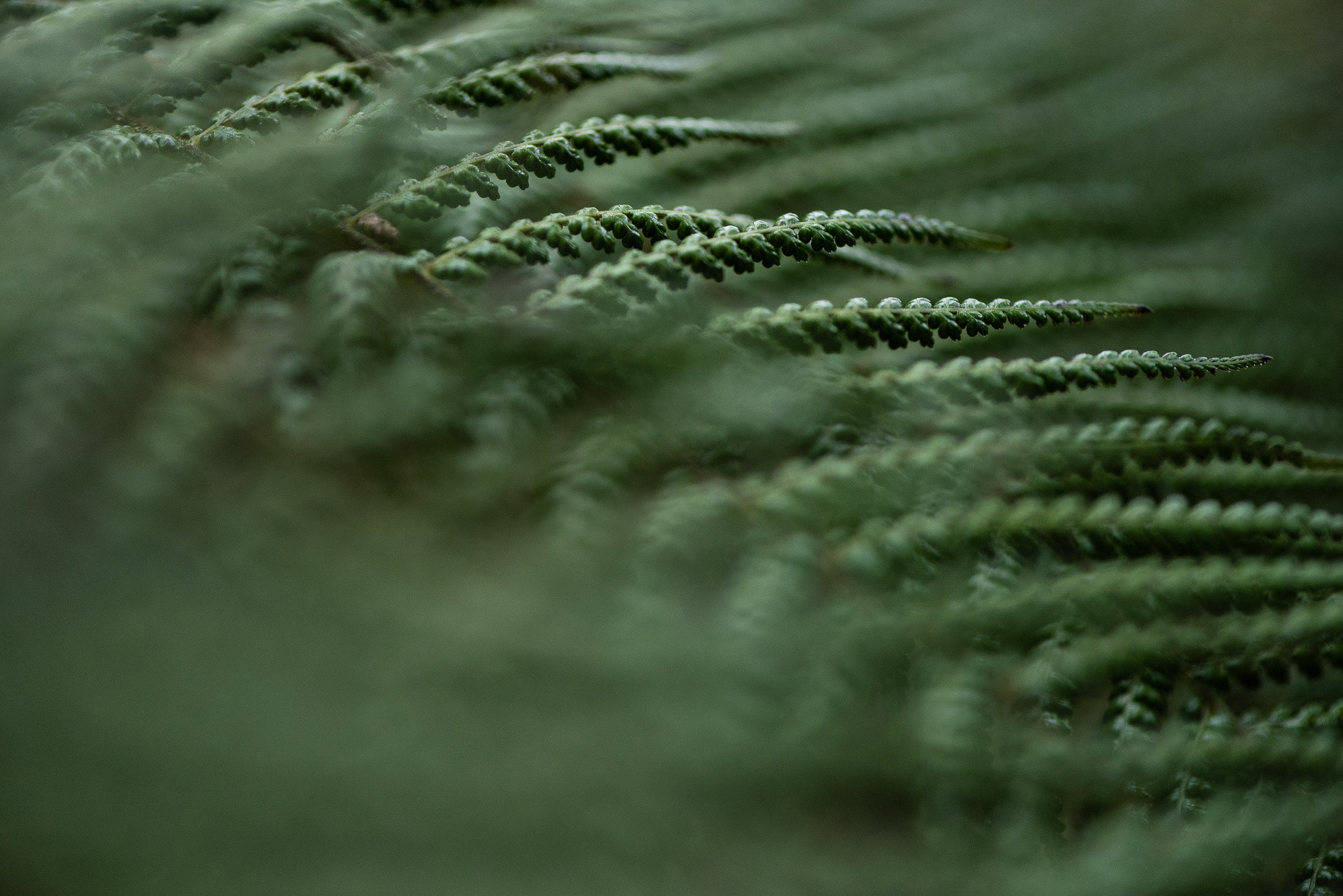 Vacances Bretagne 2015