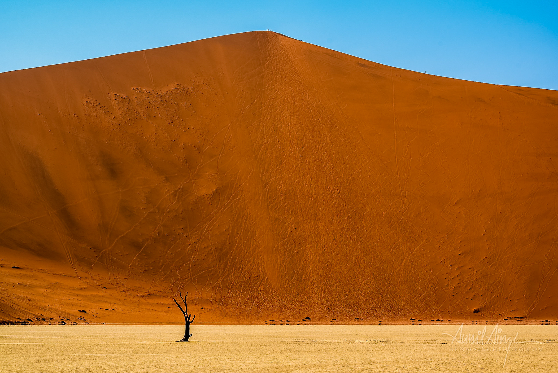 Namib-Naukluft Park, Namib Desert, Namibia