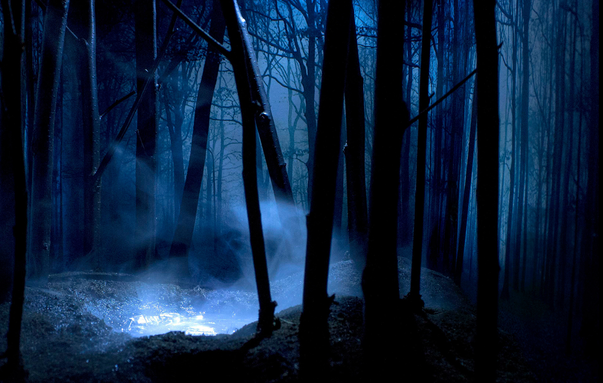 Marielin Simons Diorama Blue Forest Marielin Simons Diorama Blue Forest