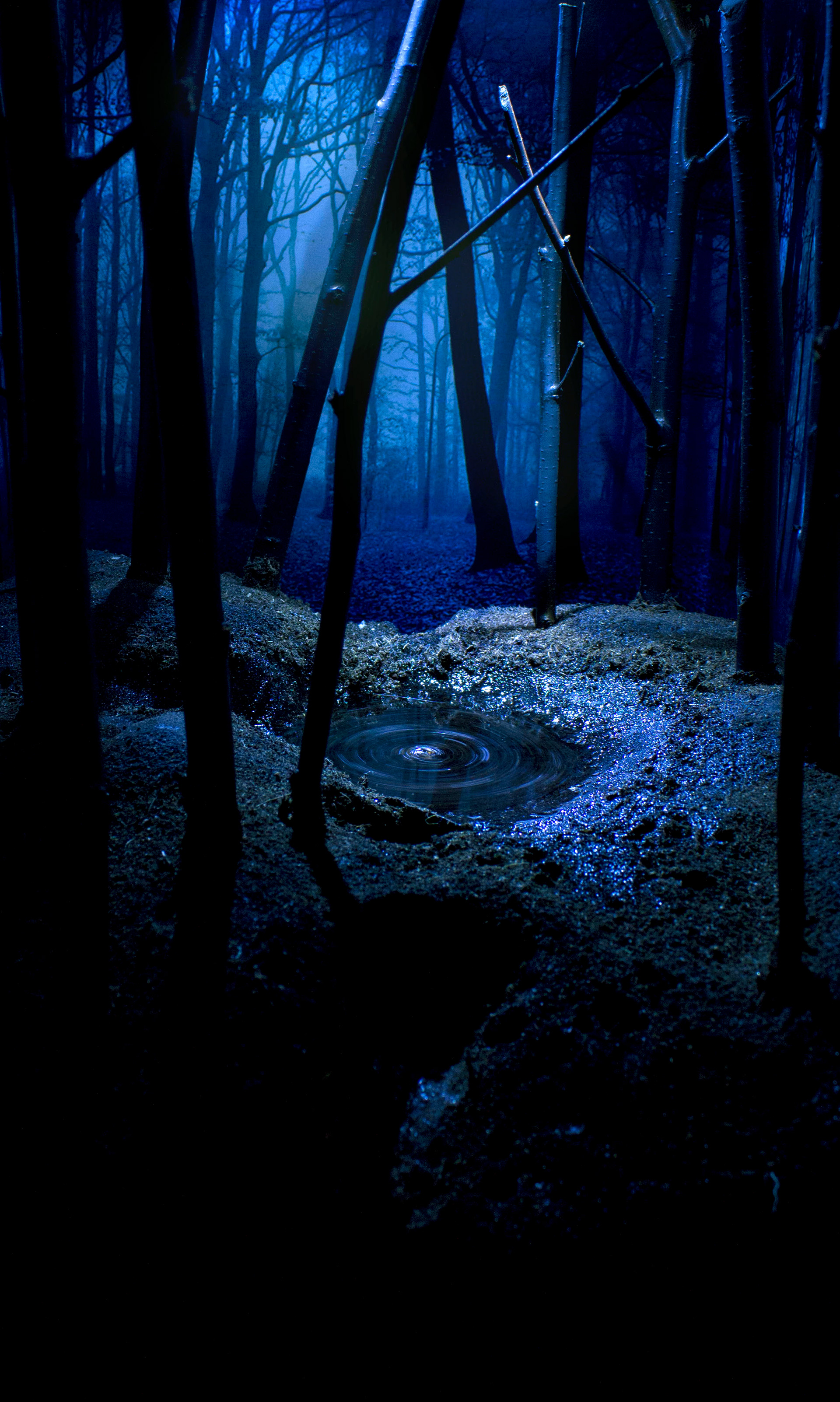 Marielin Simons Diorama Blue Forest Marielin Simons Diorama Blue Forest