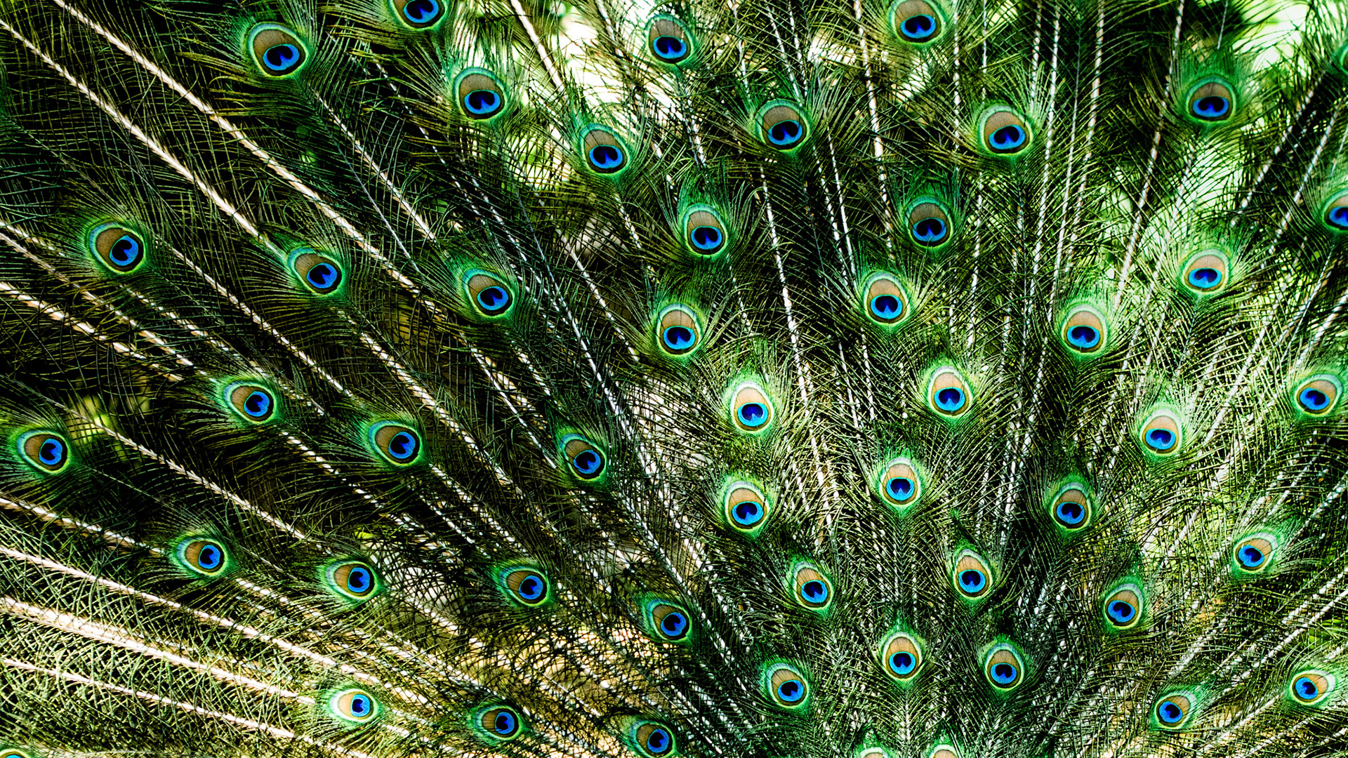 Vanity patterns