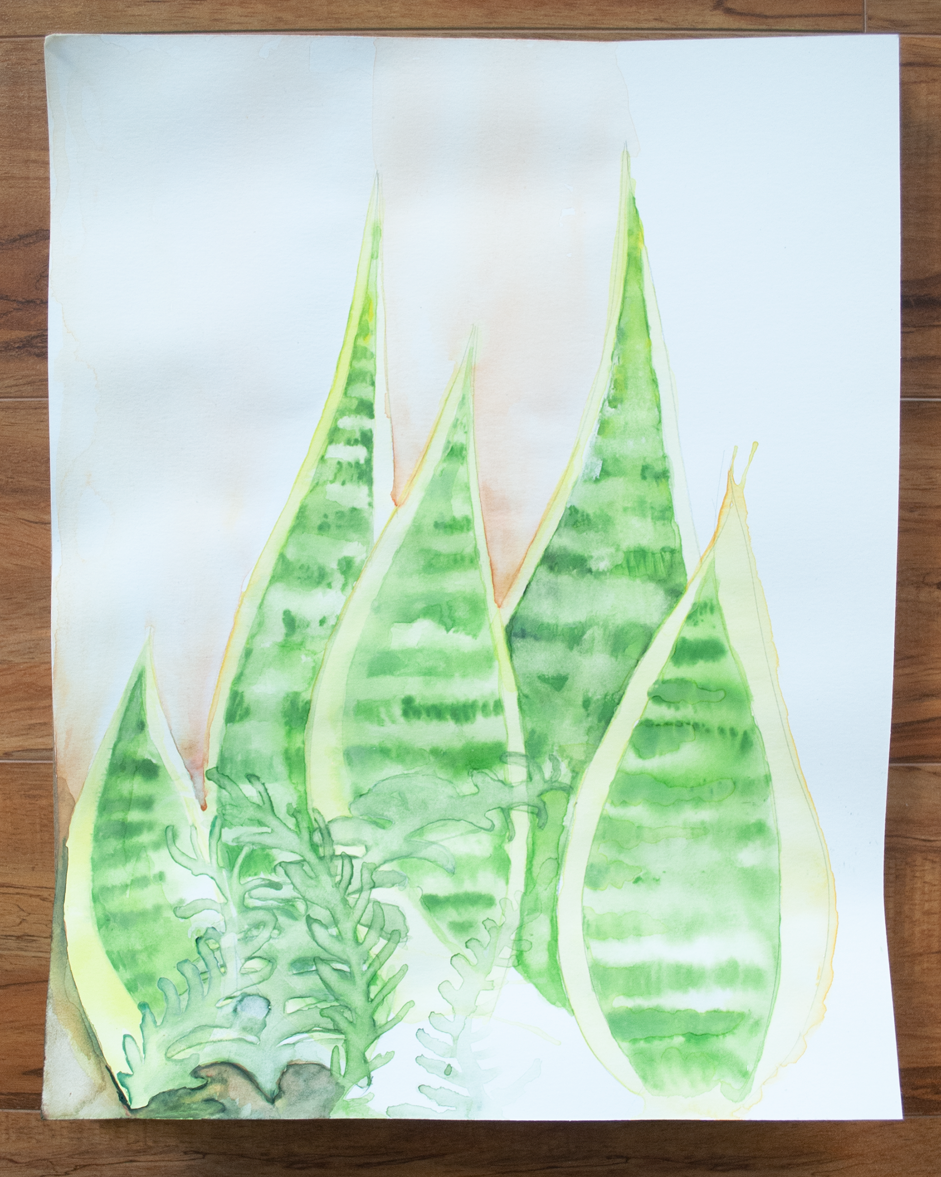 Snake plant study, watercolour on paper, 10.75" x 13.75", $200