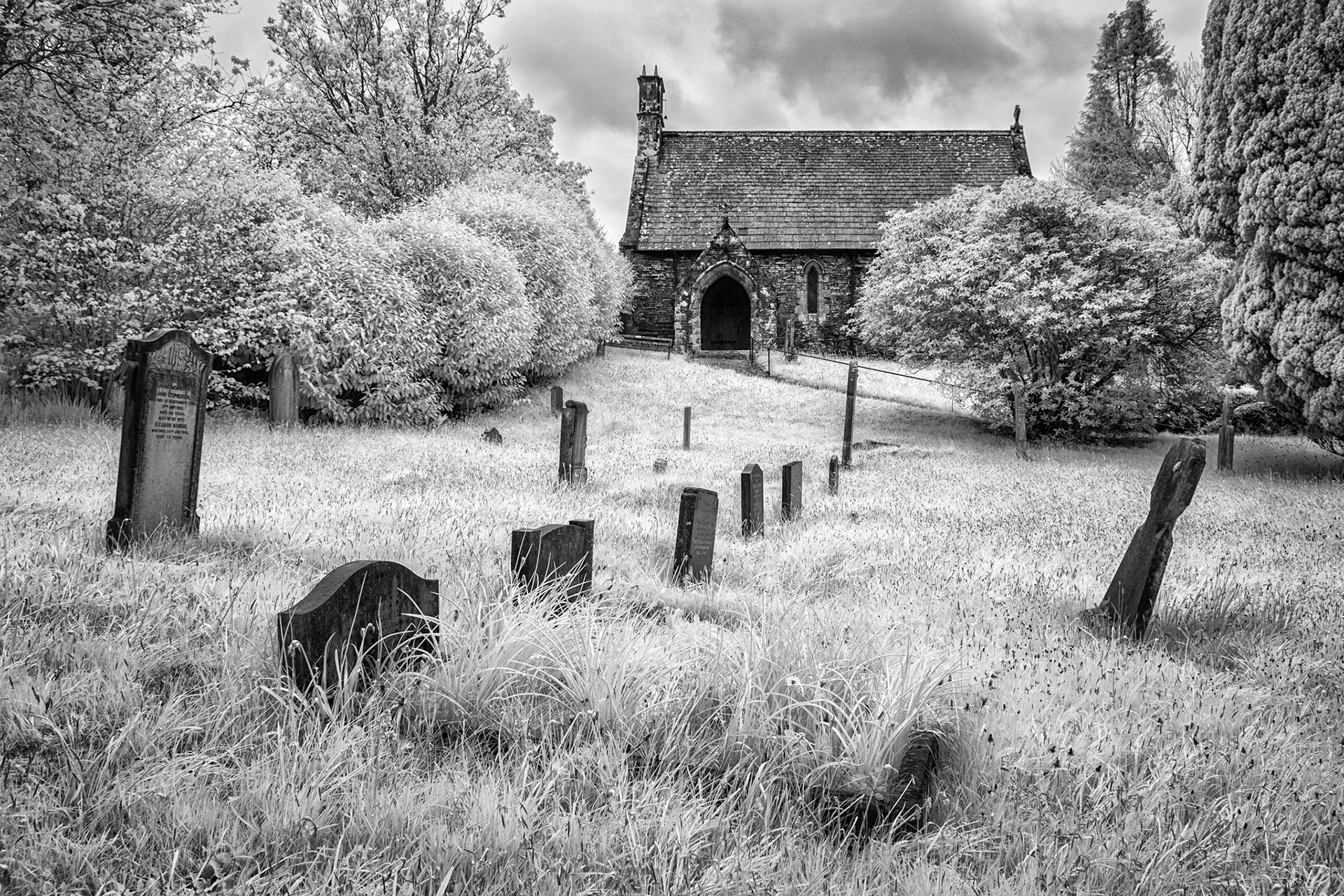St John's, Woodland