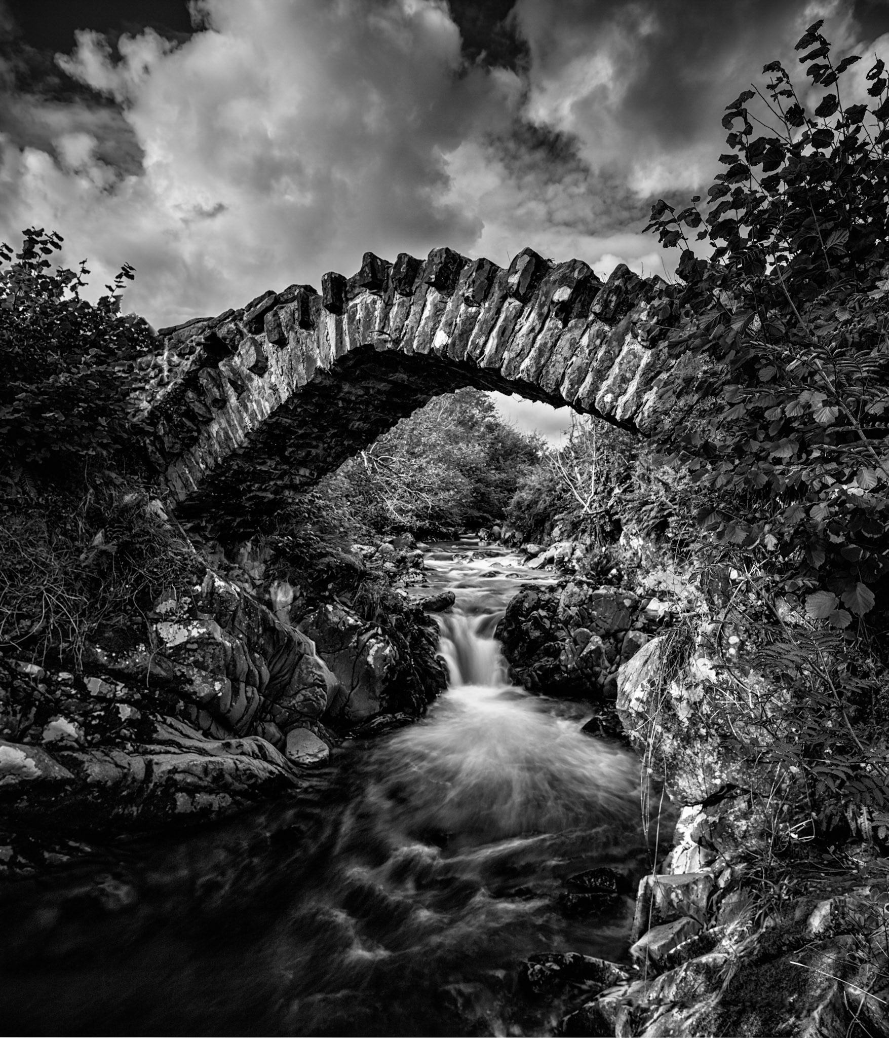 Matty Benns bridge