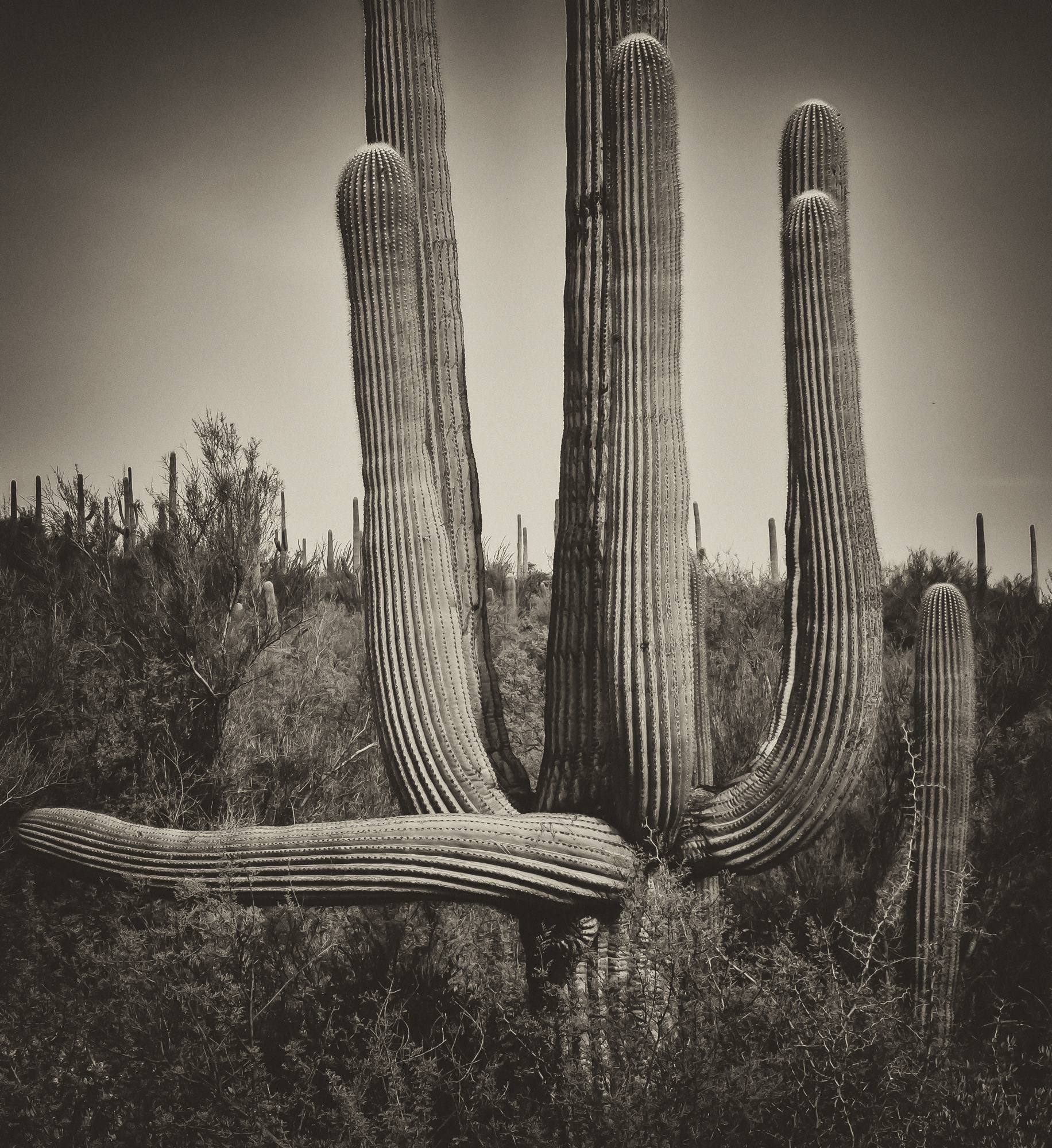 To the left! To the left!