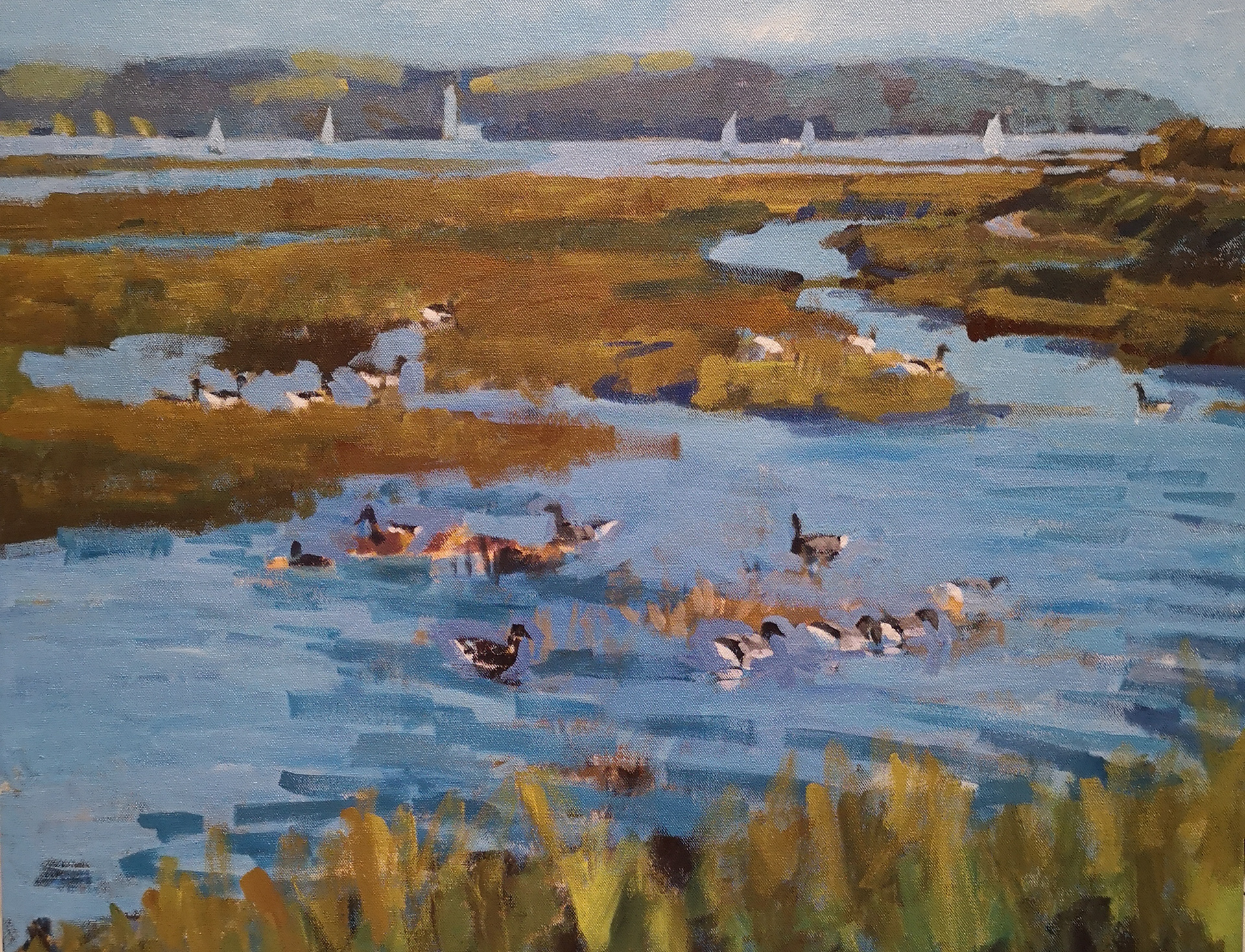 Marshes and wildlife