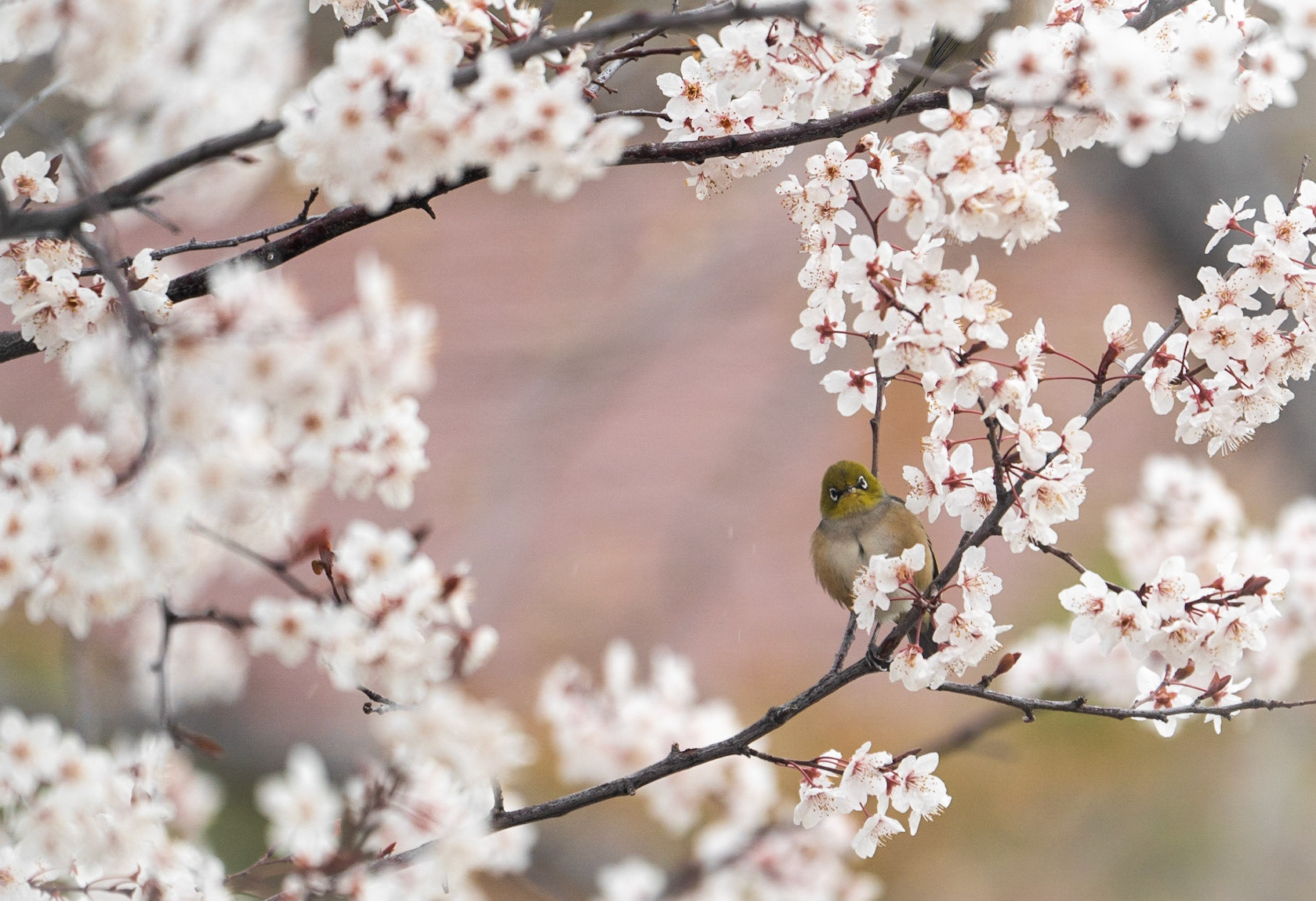 Sure looks like Spring to me!