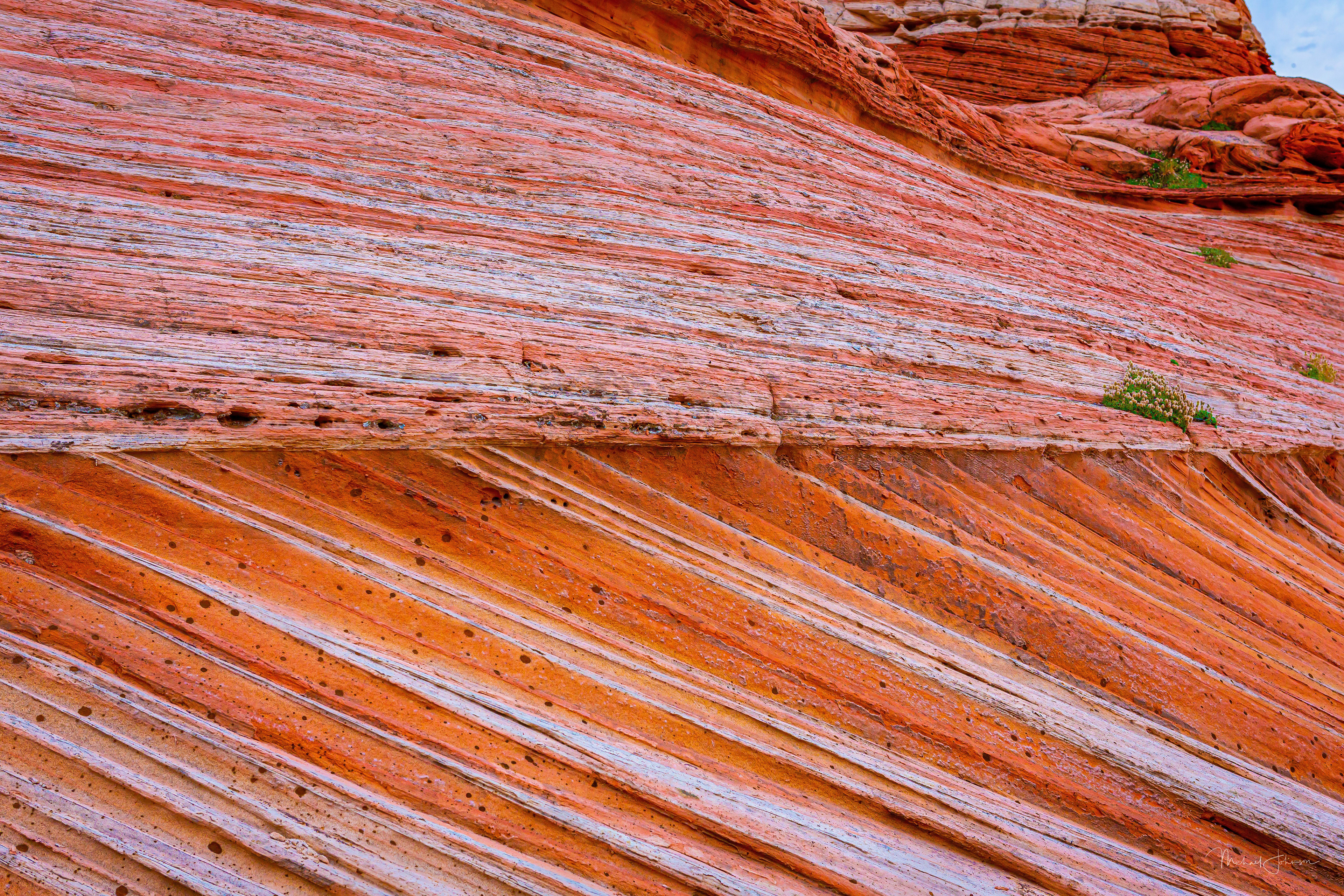 White Pocket Formation