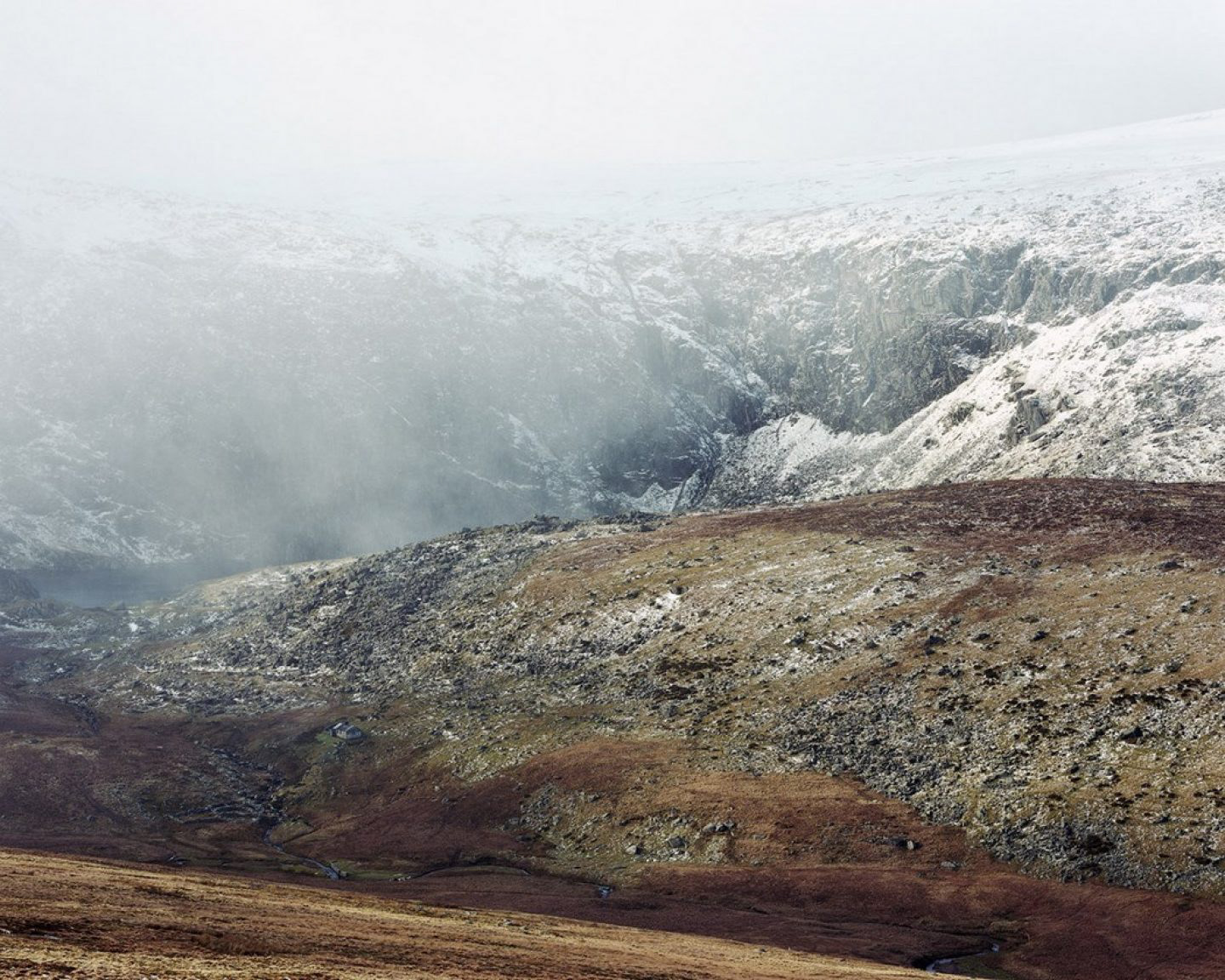 Nicolas White