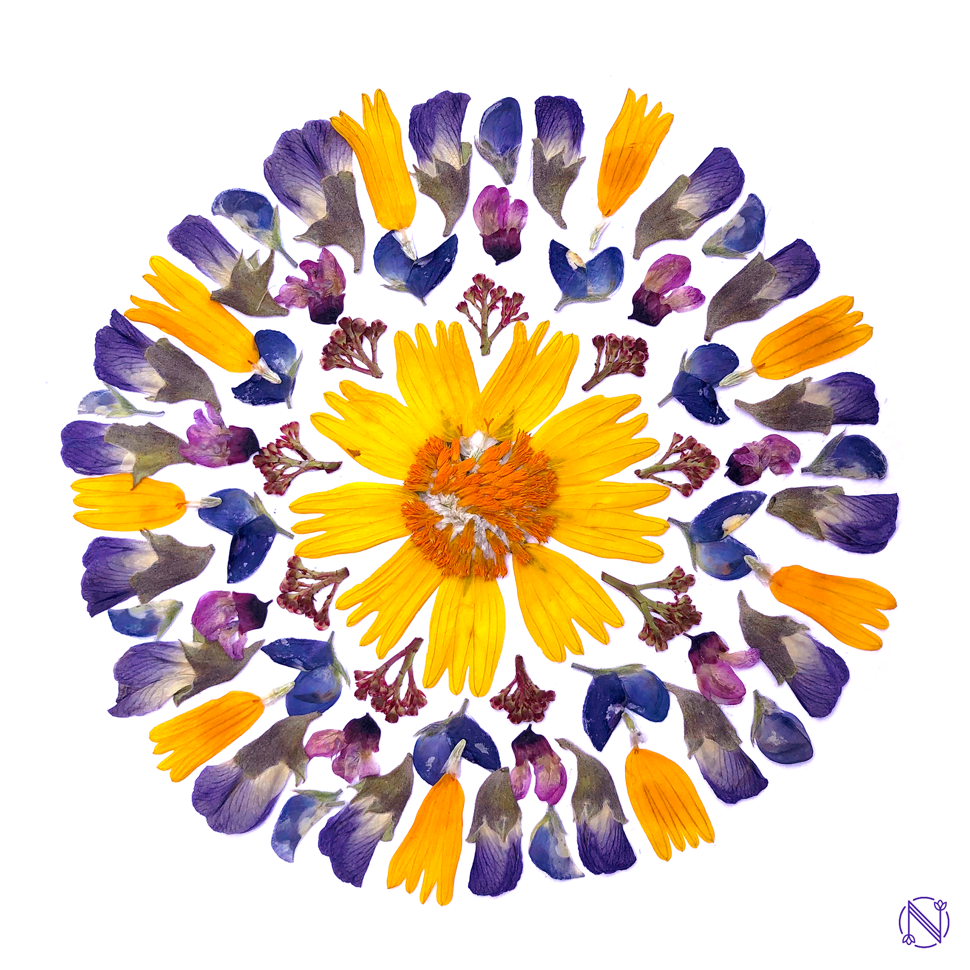 Mandala Vernal Equinox 1