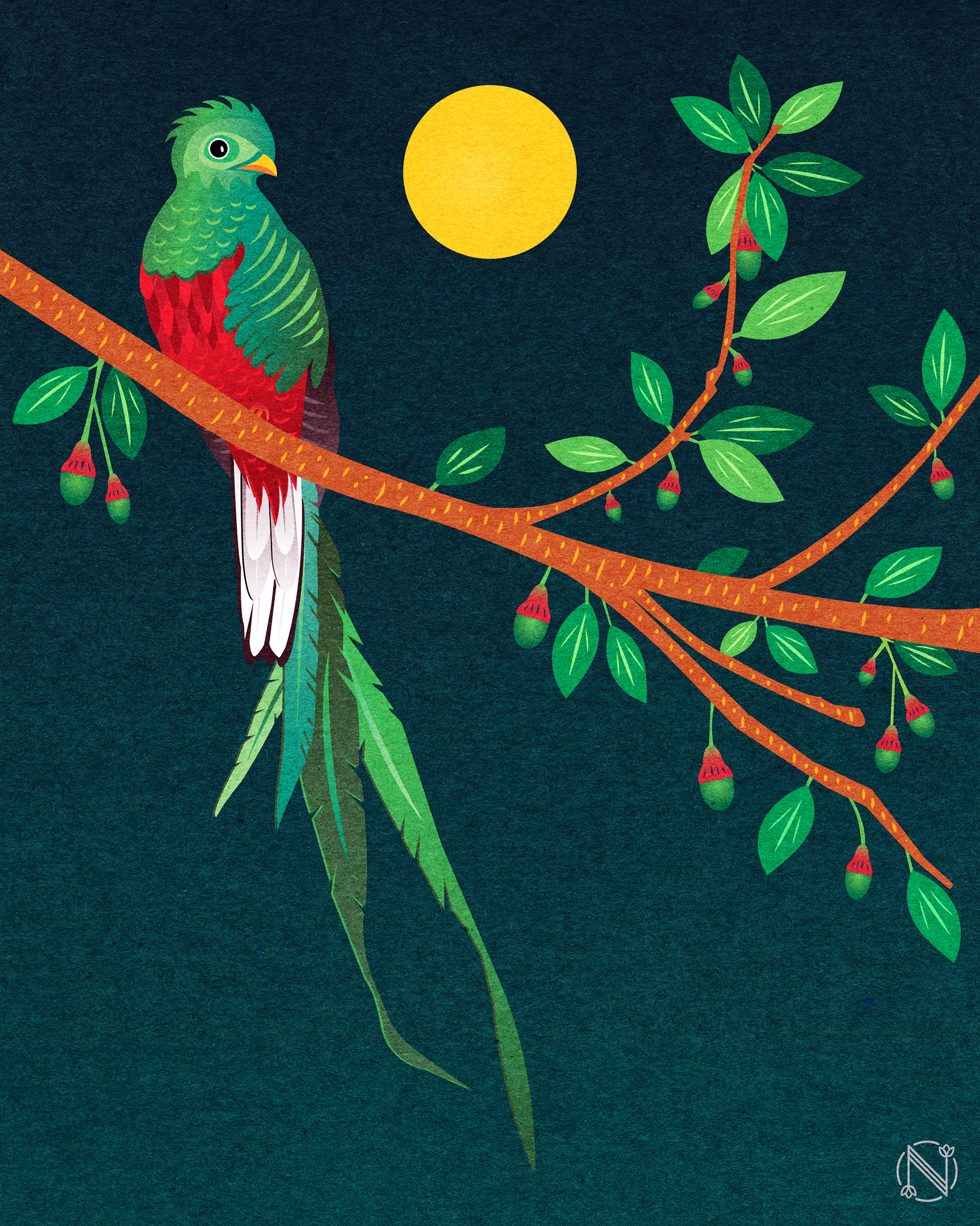 Resplendent Quetzal