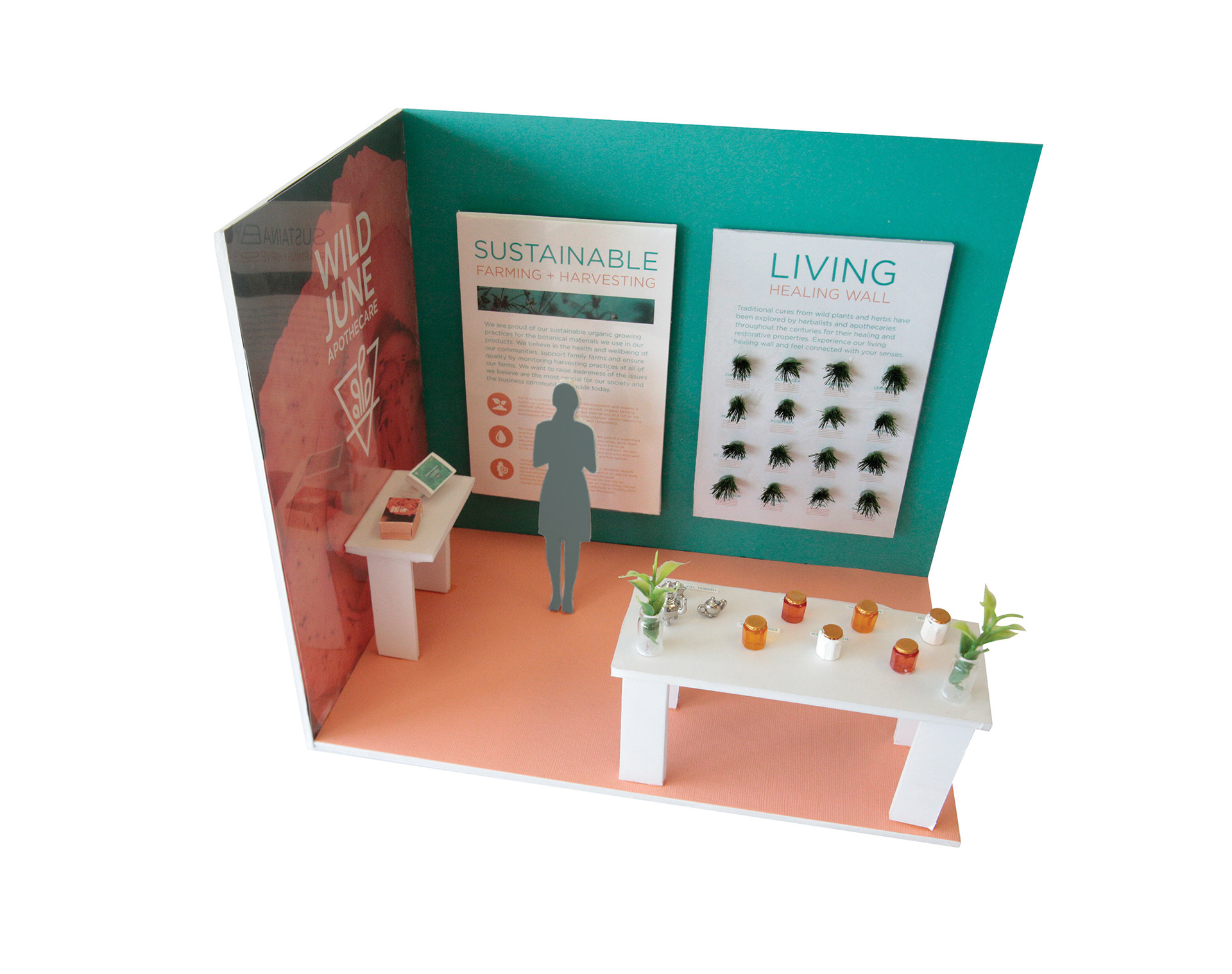 Wild June Environmental Display