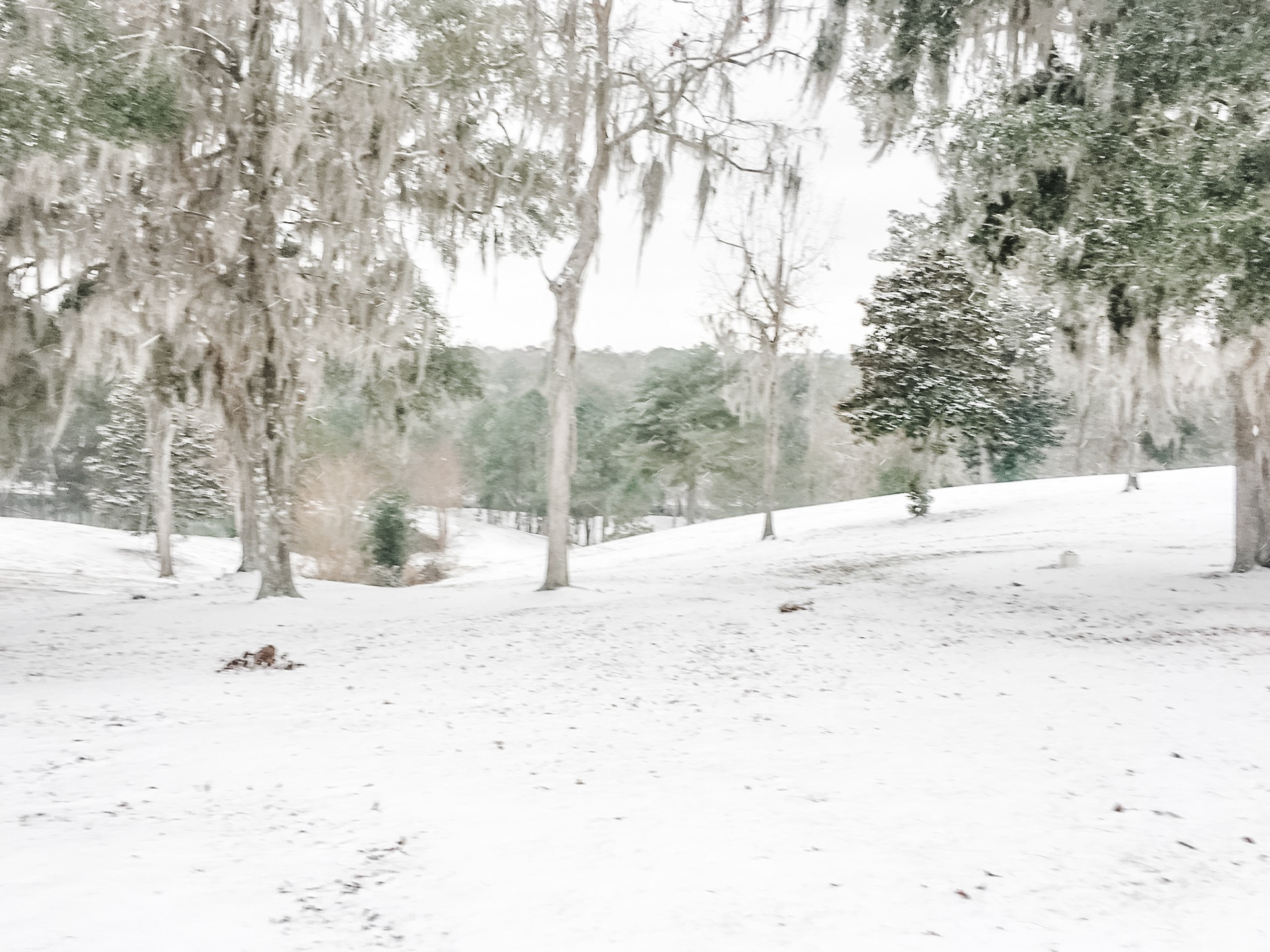 Snow on the hills (2018)