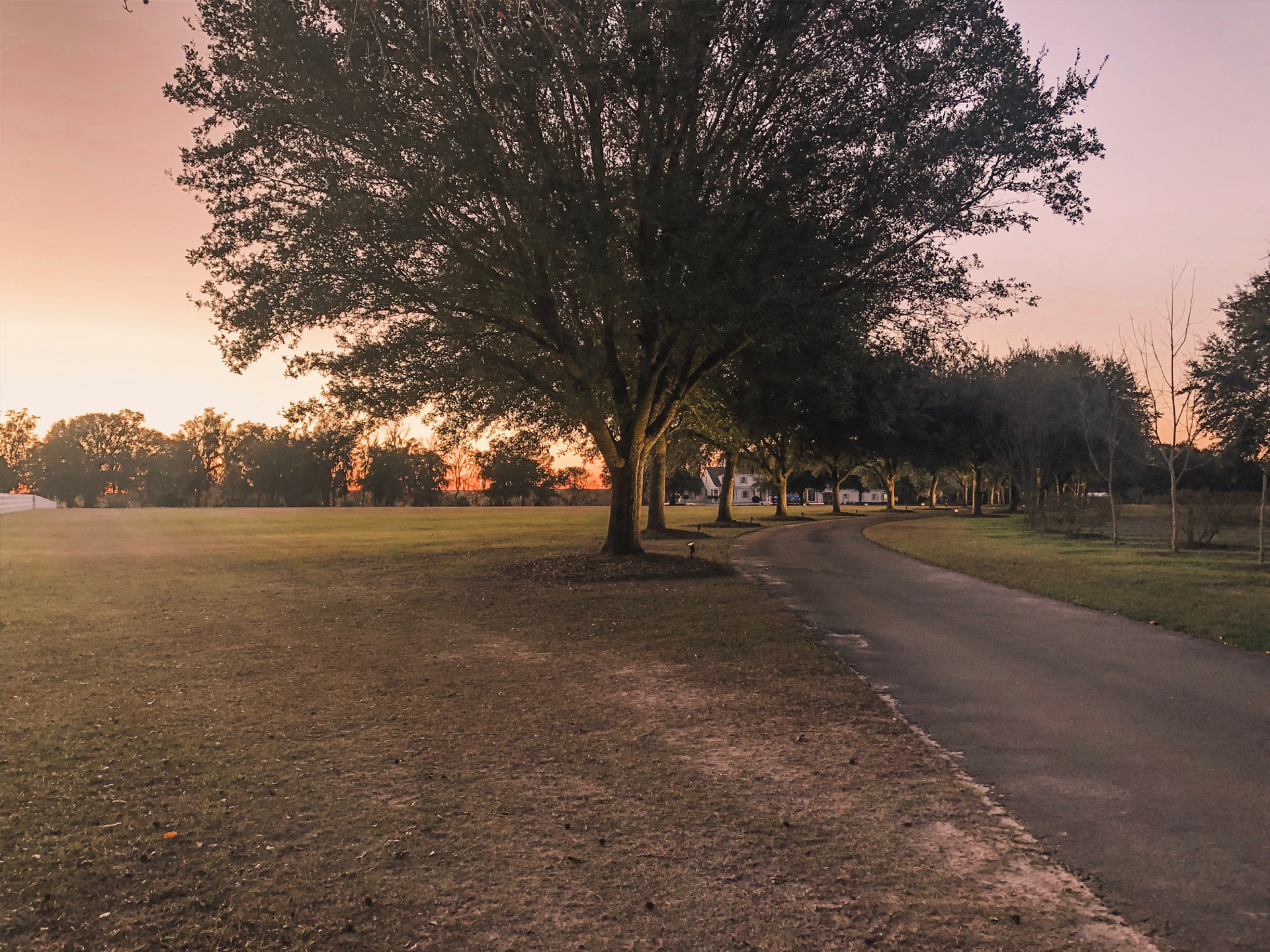 The drive at sunset
