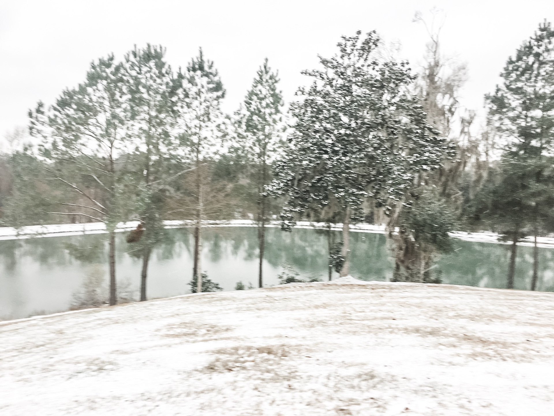Snowfall over the pond (2018)