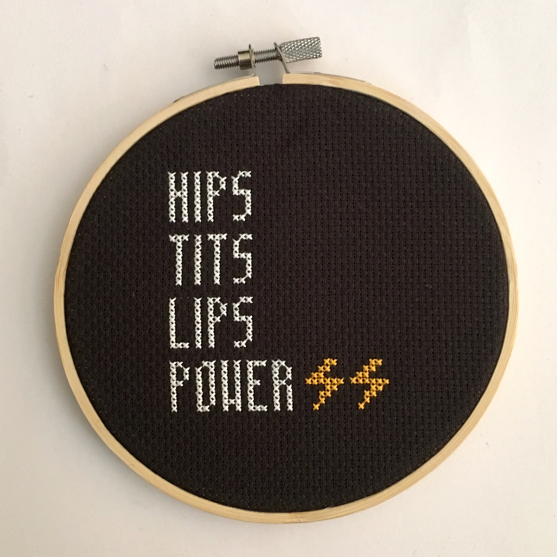 Lesley Rankine/Pigface 'Hips, Tits, Lips, Power! inspired embroidery hoop
