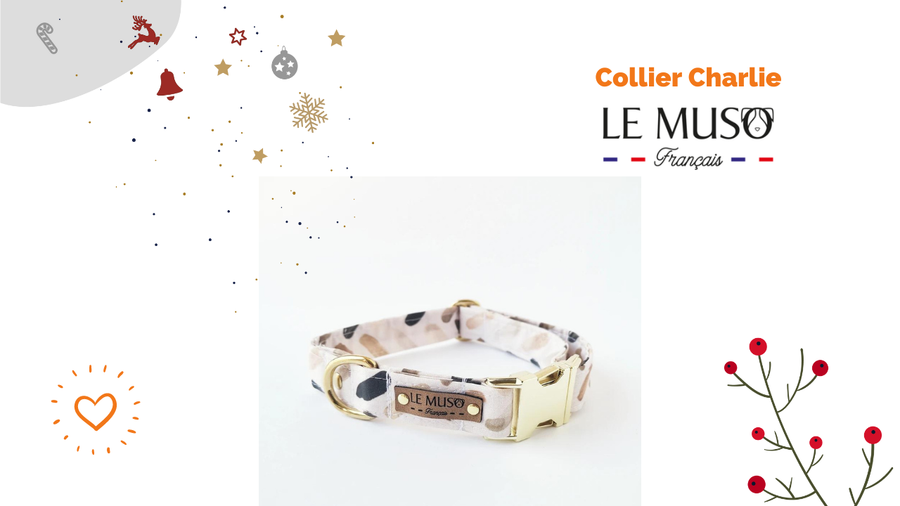 cadeau-chien-collier-le-muso-français