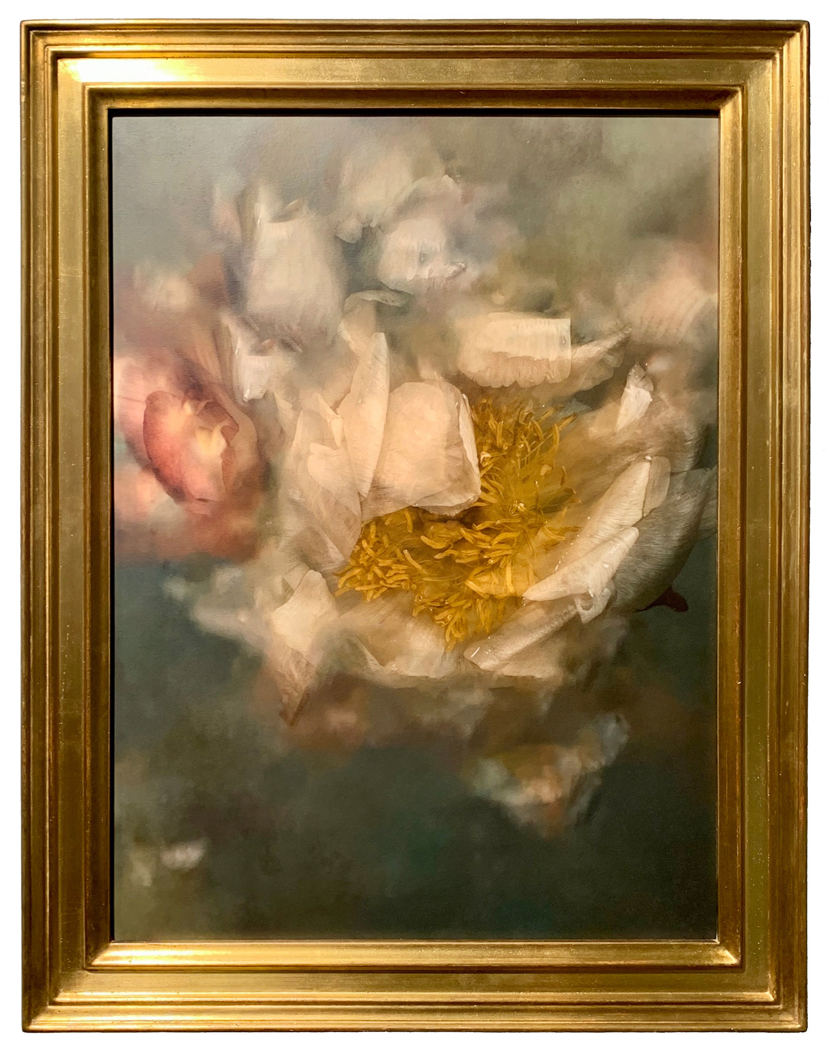 Galerie du projet Naufragia.