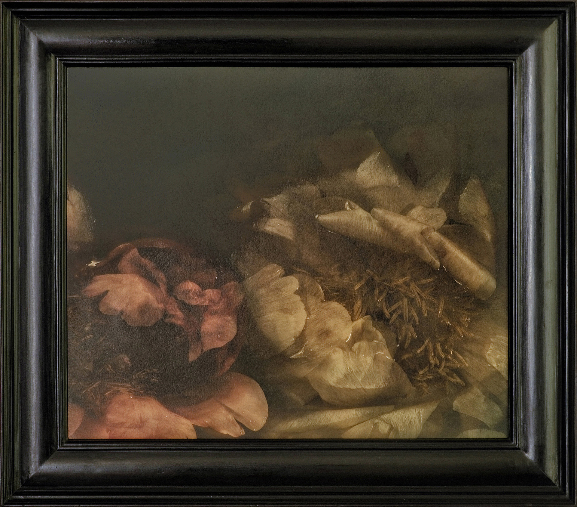 Galerie du projet Naufragia.