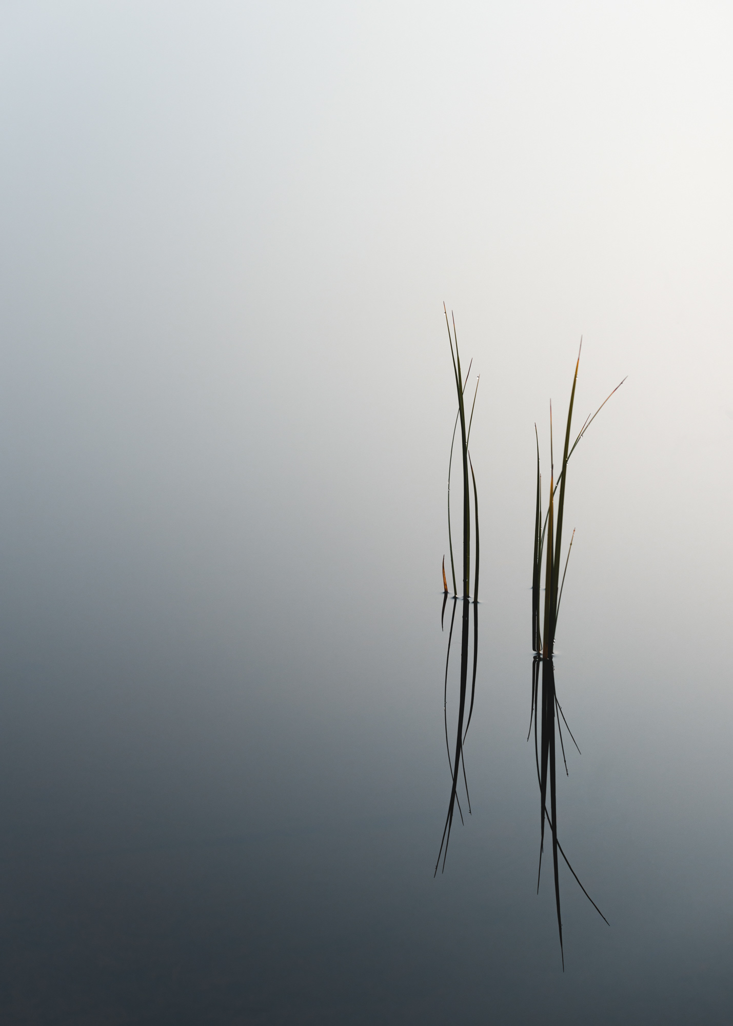 Details in Water III