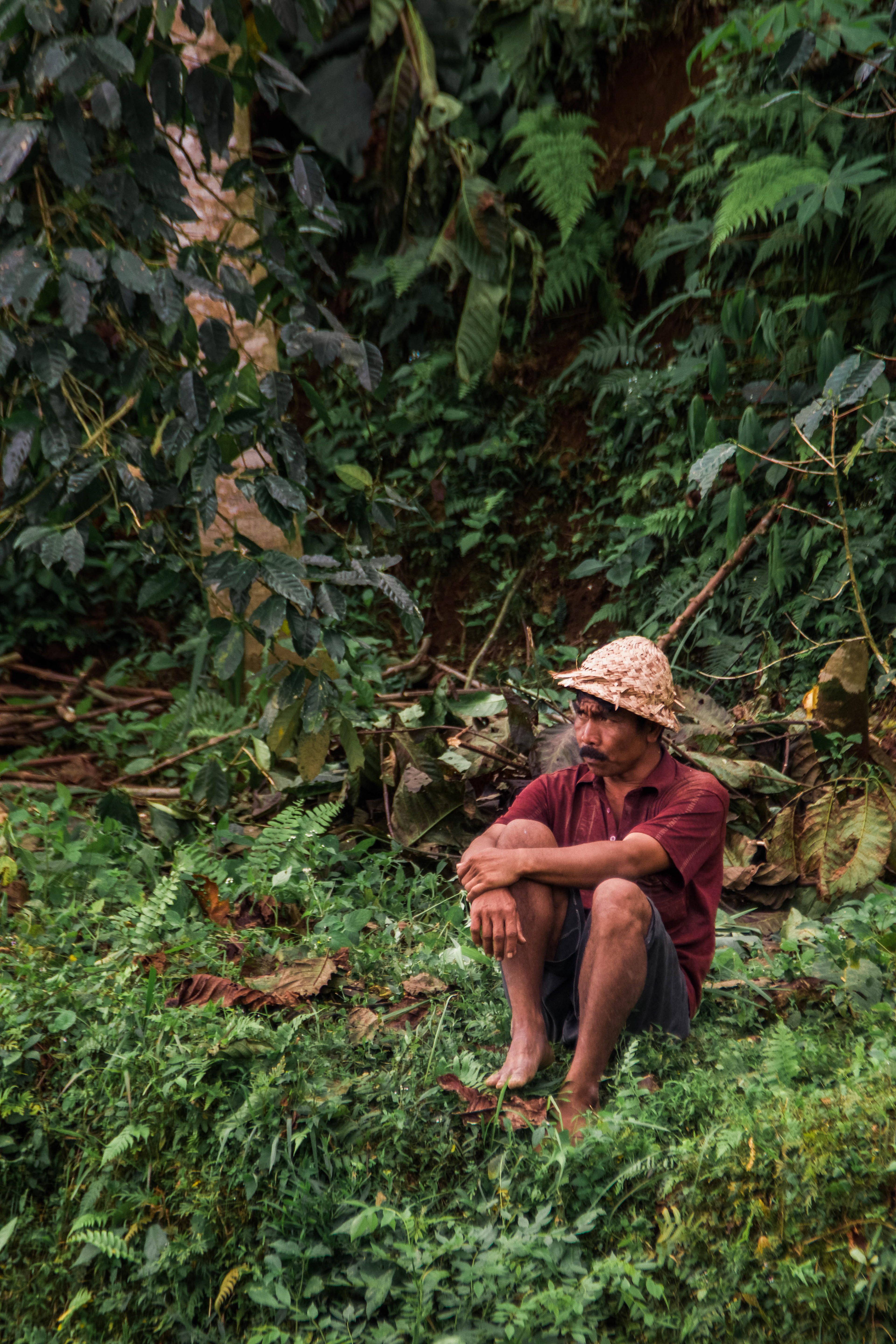 Ubud - Indonesia