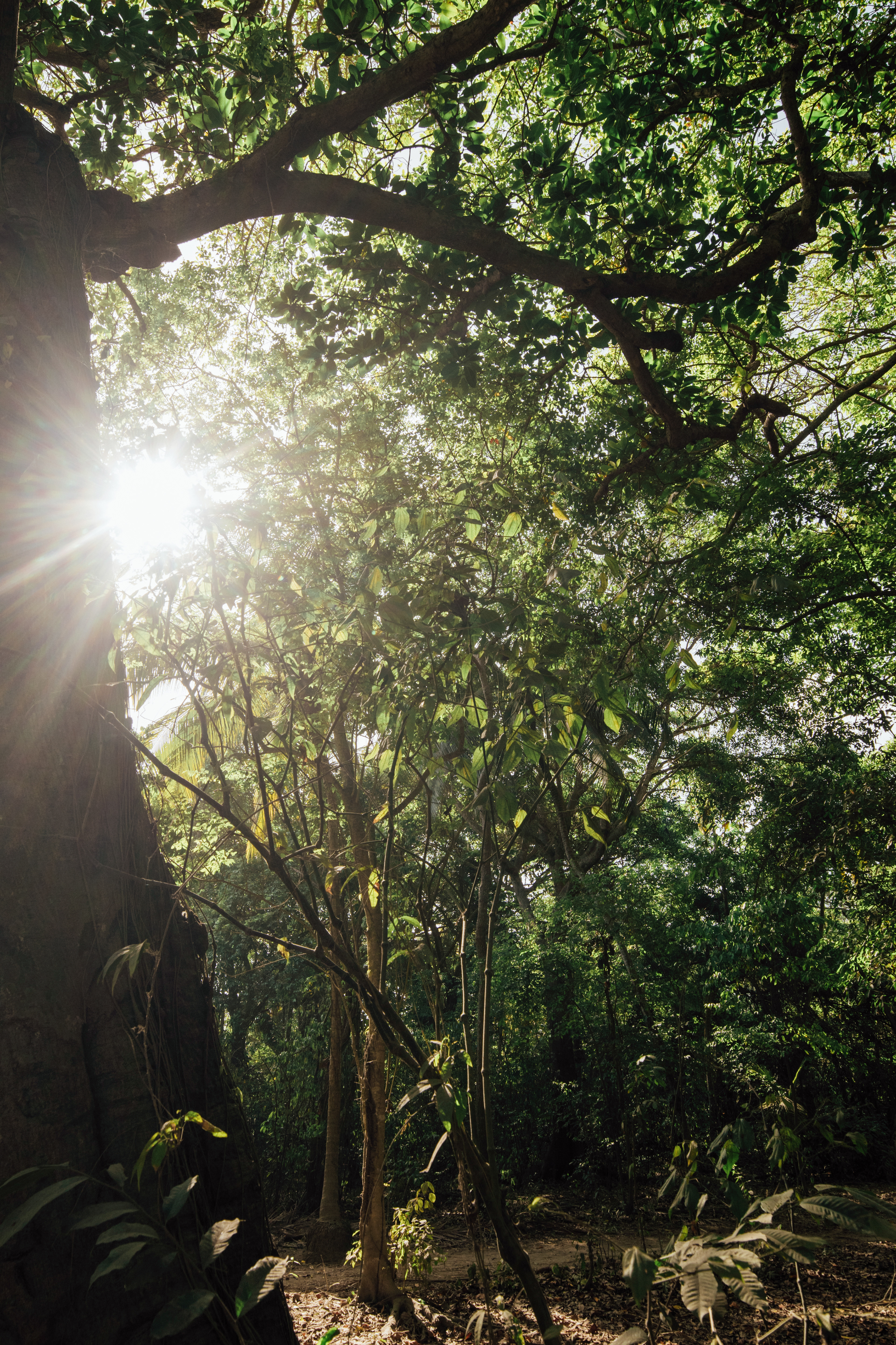 Parque Nacional Natural Tayrona - Colombia