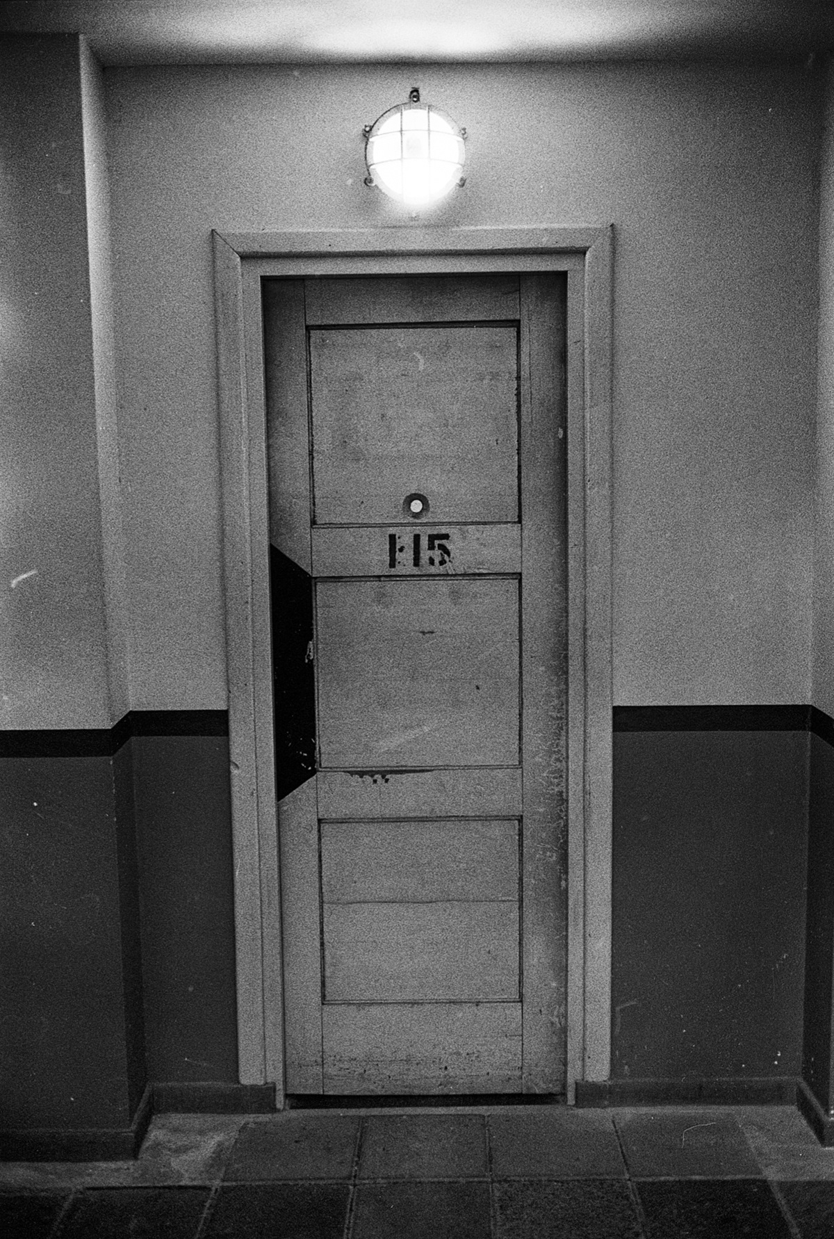 Cell 115