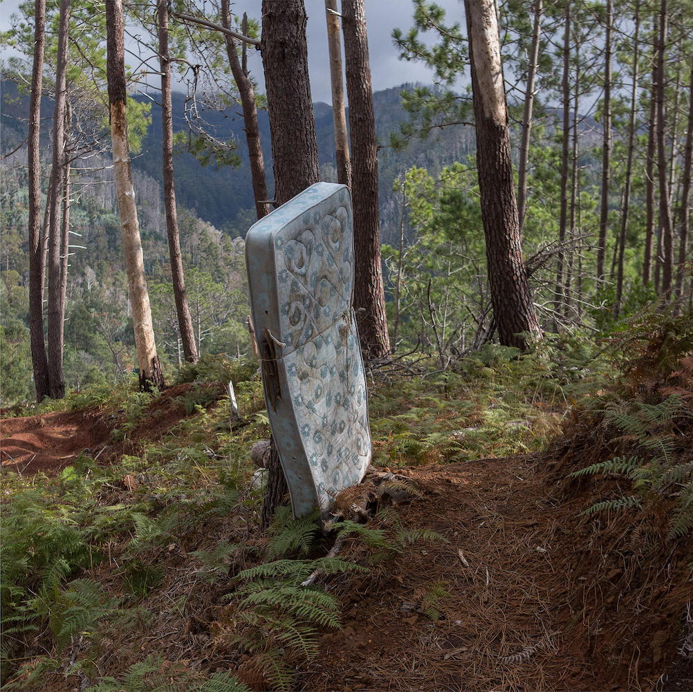 Rui Pinheiro, S/TíTulo, Picos e Lombos, 2019 COD: PA016
