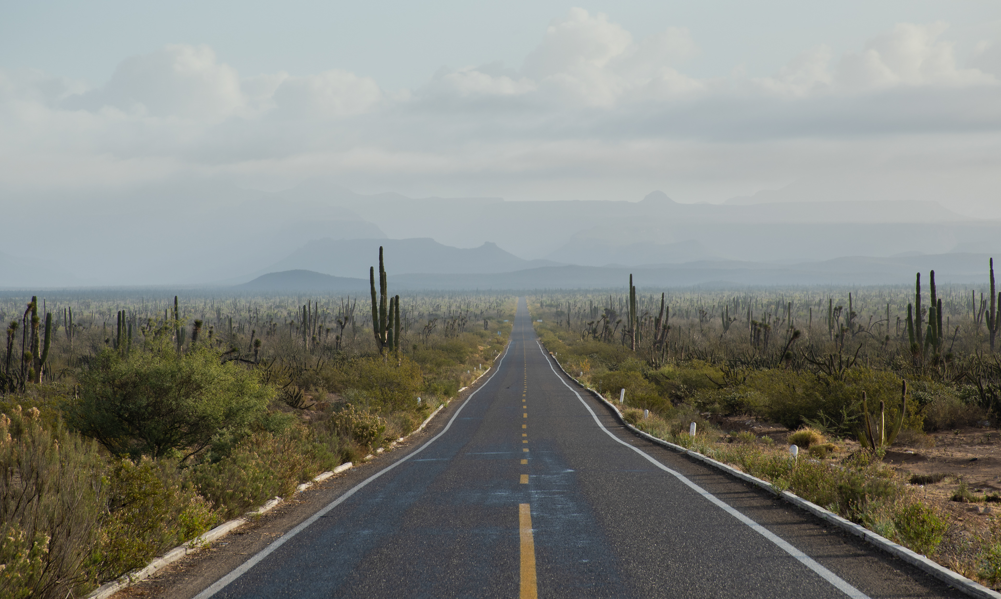 Open road