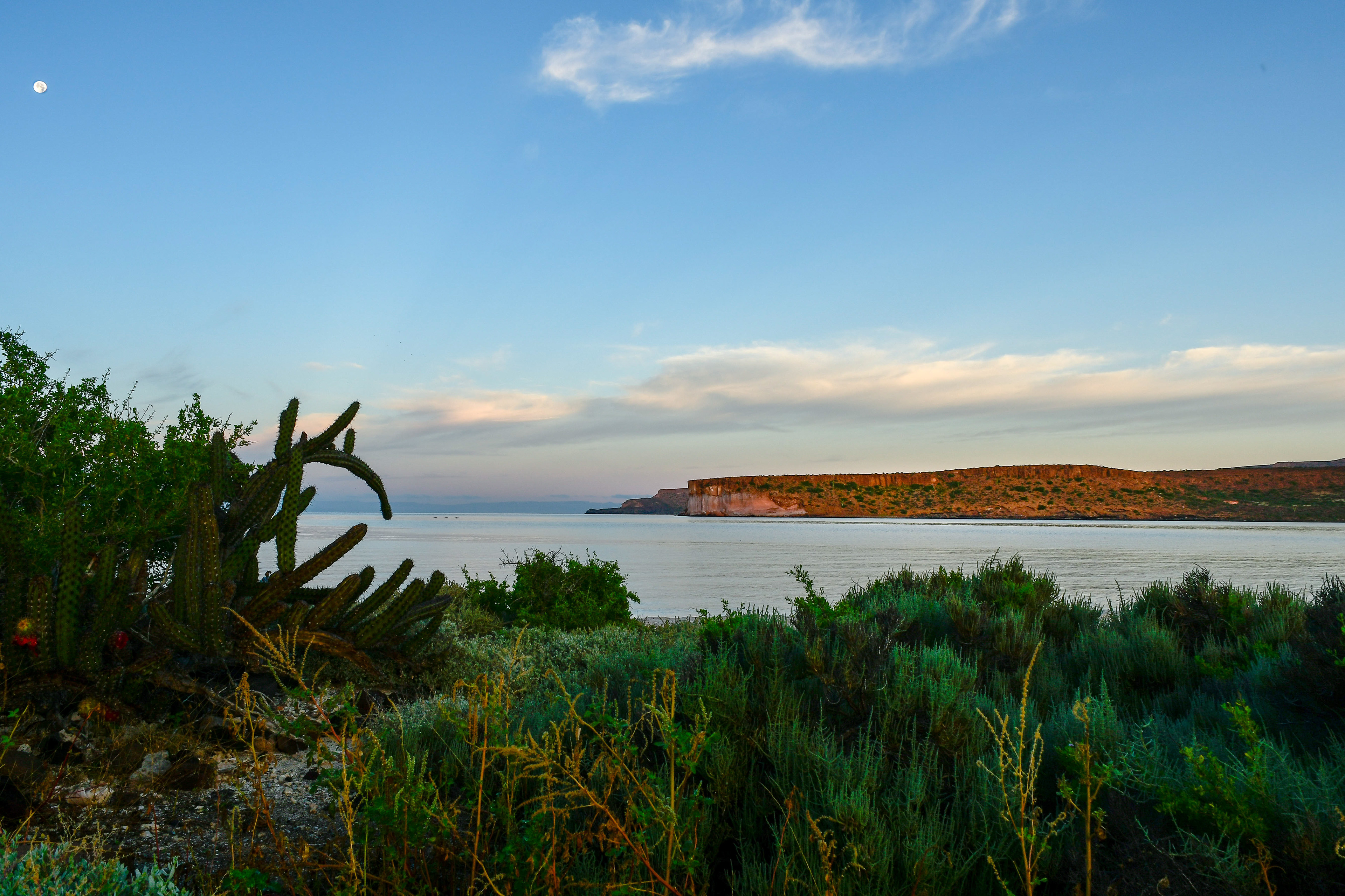 Isla Espirito Santo, early morning