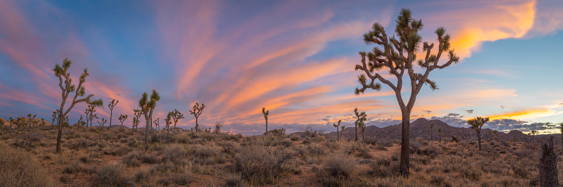 Hidden Valley, late afternon.Joshua Tree National ParkCaliforniaFebruary 21, 2020Pentax K-1, HD PENTAX-D FA 24-70mm F2.8ED SDM WRISO 100 24 mm  0.3 sec at ƒ / 14