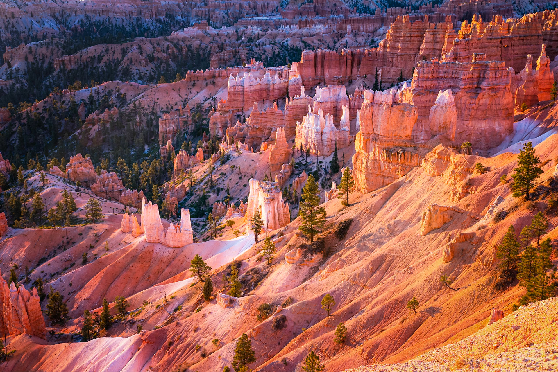 Sunrise from behind the Bryce Canyon Lodge, along the Rim Trail.Bryce Canyon National Park, November 12, 2017This is an HDR image consisting of 3 exposures merged in Lightroom. Additional processing in Lightroom and Photoshop.Pentax K-1, HD PENTAX-D FA 24-70mm F2.8ED SDM WRISO 100 45 mm  ¹⁄₂₀ sec at ƒ / 11
