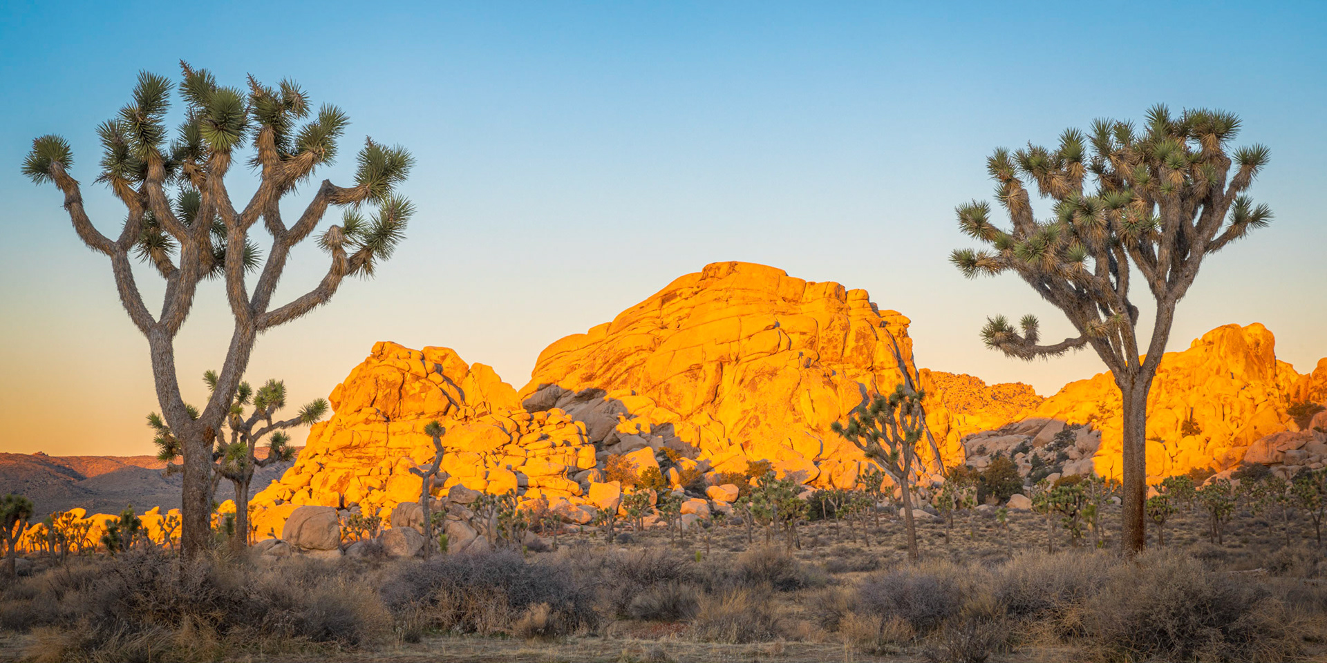 Hidden Valley, early morning.Joshua Tree National ParkCaliforniaFebruary 23, 2020Pentax K-1, HD PENTAX-D FA 24-70mm F2.8ED SDM WRISO 200 58 mm  ¹⁄₂₀ sec at ƒ / 18