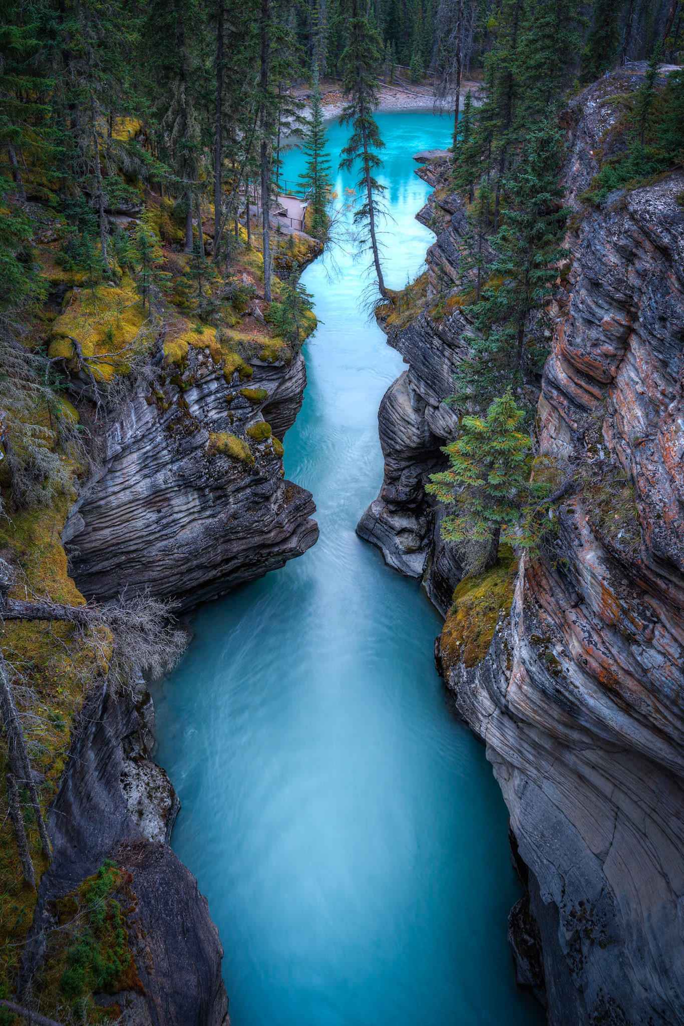 Downstream of Athabasca FallsJasper National ParkAlberta, CanadaSeptember 23, 2016This is an HDR image consisting of 5 exposures merged in Photomatix Pro. Additional processing in Lightroom and Photoshop.PENTAX K-1, HD PENTAX-D FA 15-30mm F2.8ED SDM WRISO 100 30 mm  1.0 sec at ƒ / 8.0