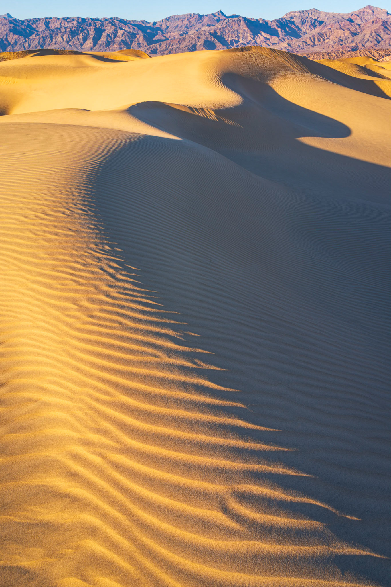 Mesquite Flats, late afternoon.Death Valley National ParkCaliforniaFebruary 20, 2020Pentax K-1, TAMRON 28-300mm F3.5-6.3 Ultra zoom XRISO 100 34 mm  ¹⁄₂₀ sec at ƒ / 22