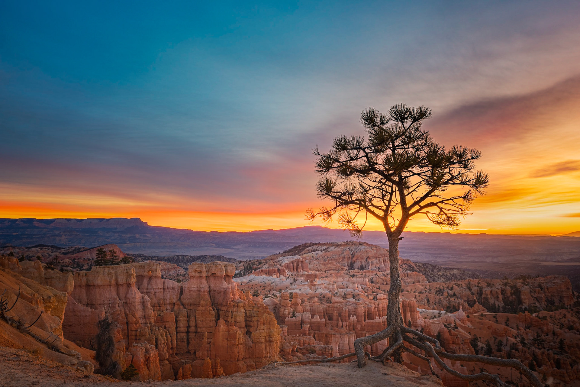 Sunrise from behind the Bryce Canyon Lodge, along the Rim Trail.Bryce Canyon National ParkUtahNovember 12, 2017This is an HDR image consisting of 3 exposures merged in Lightroom. Additional processing in Lightroom and Photoshop.Pentax K-1, HD PENTAX-D FA 24-70mm F2.8ED SDM WRISO 100 33 mm  0.3 sec at ƒ / 11