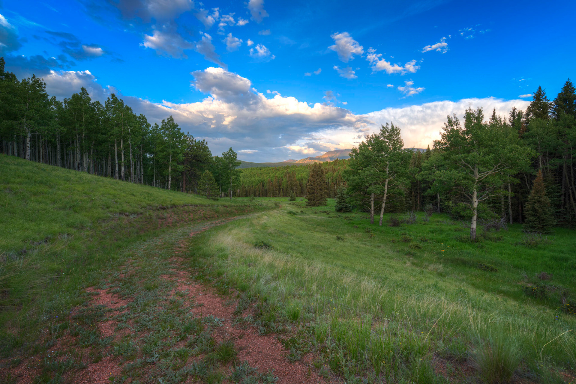 Where would you rather be?Mueller State ParkColoradoJuly 8, 2016This is an HDR image consisting of 5 exposures merged in Photomatix Pro. Additional processing in Lightroom and Photoshop.PENTAX K-1, HD PENTAX-D FA 15-30mm F2.8ED SDM WRISO 100 15 mm  ¹⁄₂₀ sec at ƒ / 11