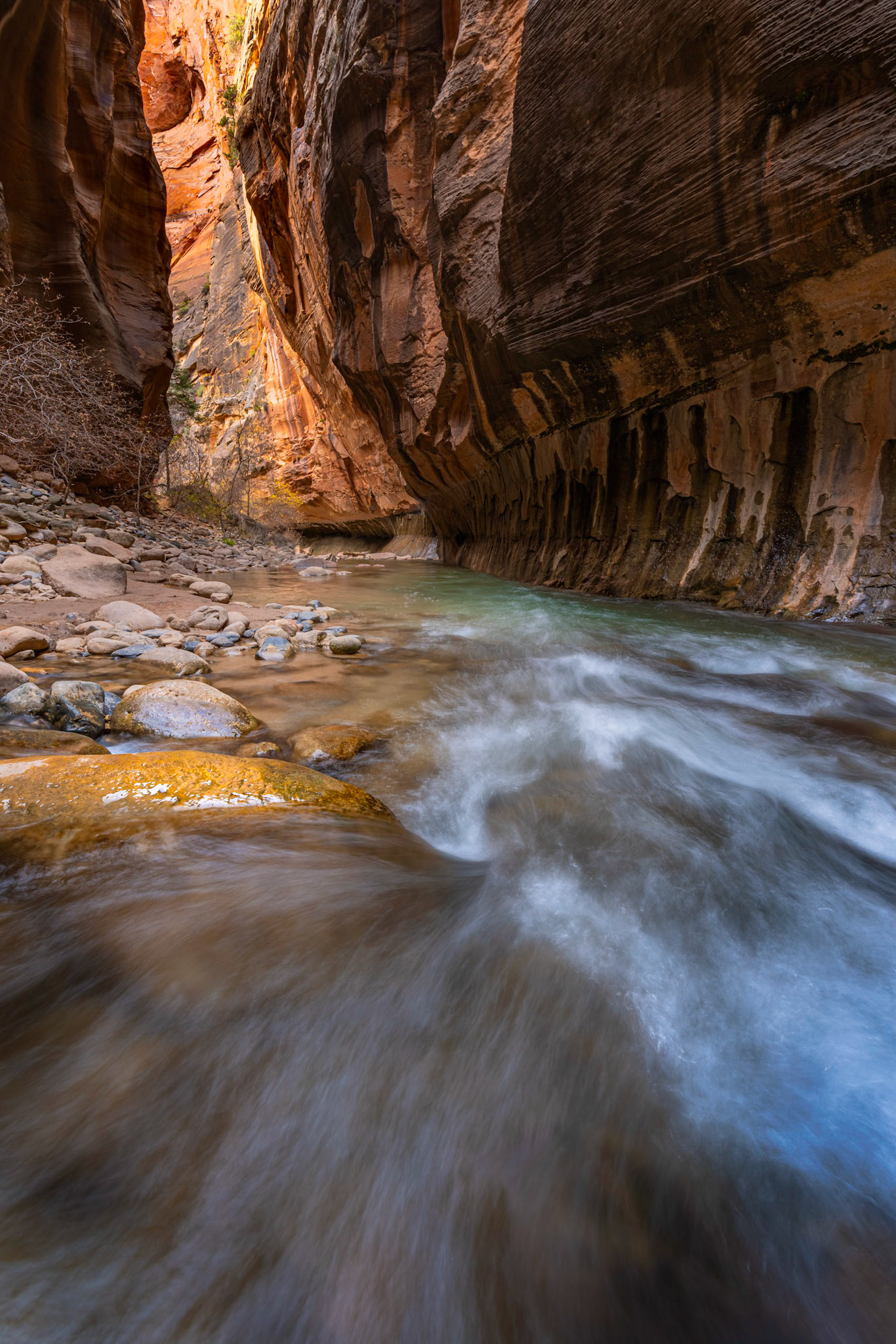 The Vrigin River NarrowsZion National ParkUtahNovember 15, 2017This is an HDR image consisting of 3 exposures merged in Lightroom. Additional processing in Lightroom and Photoshop.Pentax K-1, HD PENTAX-D FA 15-30mm F2.8ED SDM WRISO 100 15 mm  ¹⁄₁₃ sec at ƒ / 22