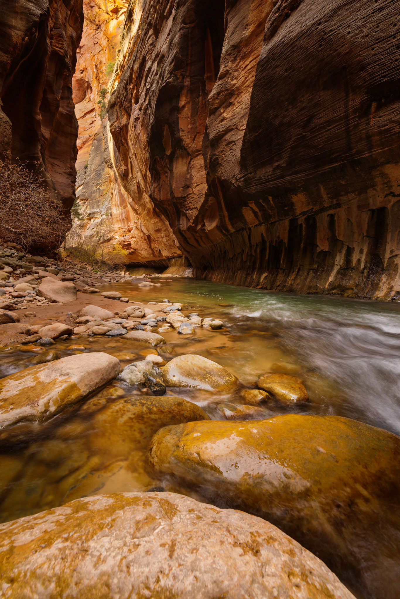 The Vrigin River NarrowsZion National ParkUtahNovember 15, 2017Pentax K-1, HD PENTAX-D FA 15-30mm F2.8ED SDM WRISO 100 15 mm  0.5 sec at ƒ / 20