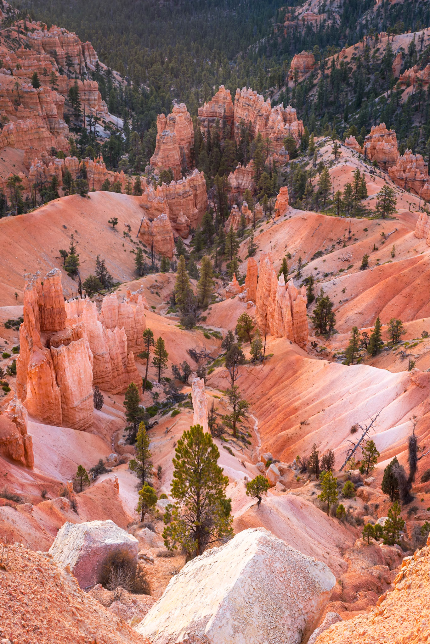 Bryce Canyon, from the Rim Trail.Bryce Canyon National ParkUtahNovember 12, 2017Pentax K-1, HD PENTAX-D FA 24-70mm F2.8ED SDM WRISO 100 48 mm  ¼ sec at ƒ / 11