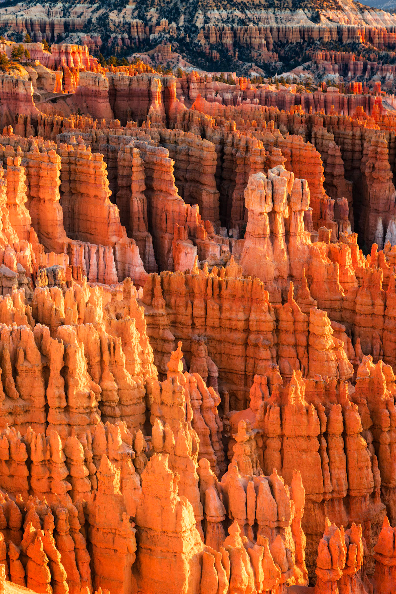 Hoodoos in Bryce Canyon.  Looking at the formations here remind me a lot of the Terracotta Army  in the tomb of Qin Shi Huang.  Bryce Canyon National ParkUtahNovember 11, 2017PENTAX K-1, TAMRON 28-300mm F3.5-6.3 Ultra zoom XRISO 100 85 mm  0.4 sec at ƒ / 11