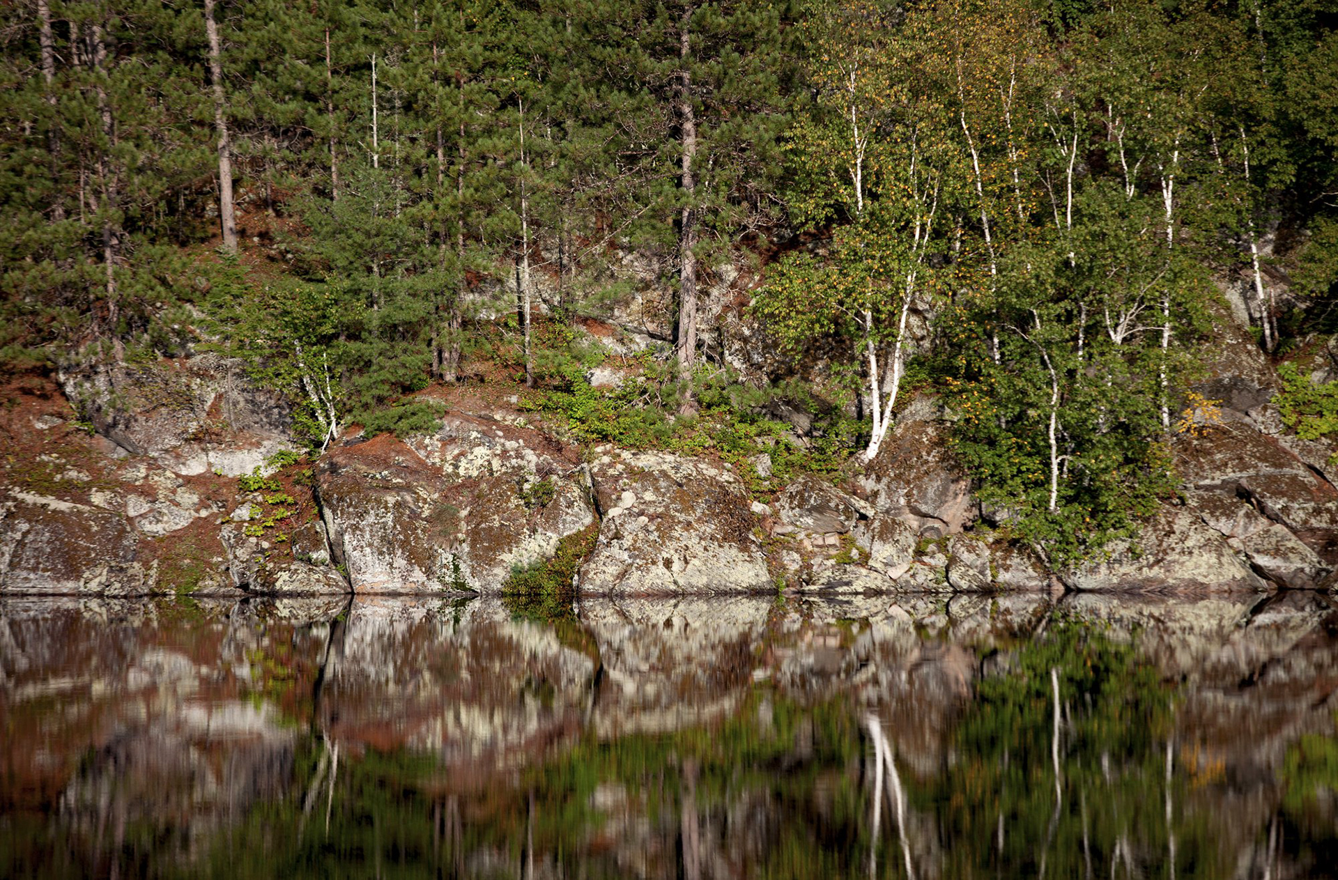Reflection