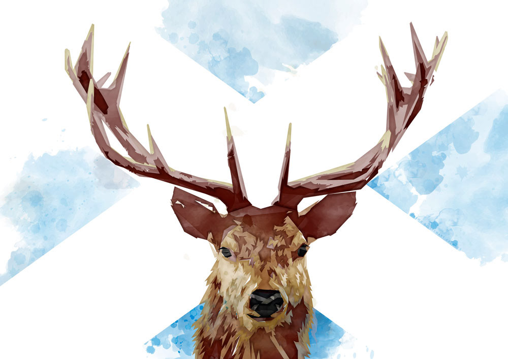 Scottish stag