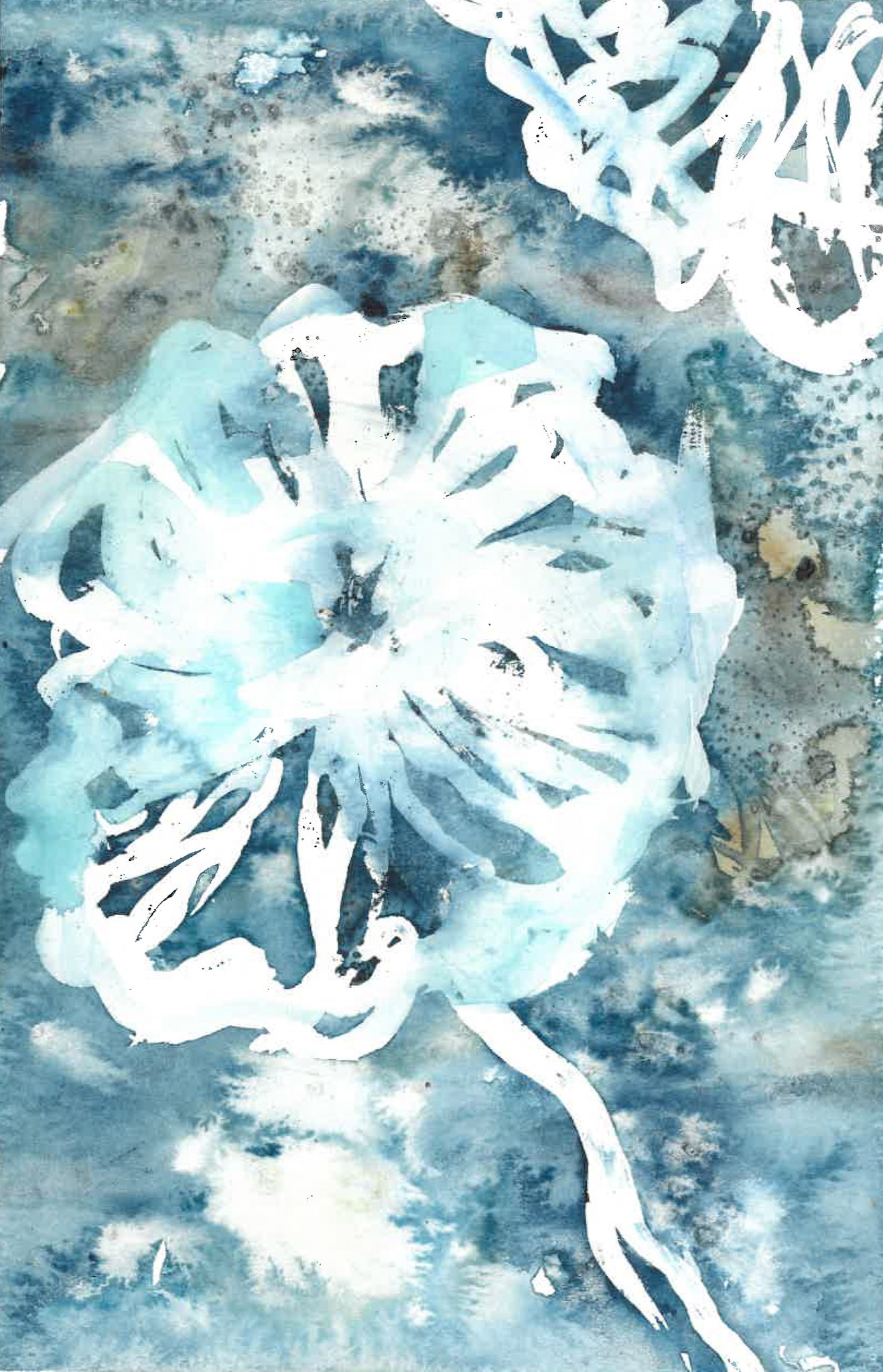 Peony iii. watercolor painting