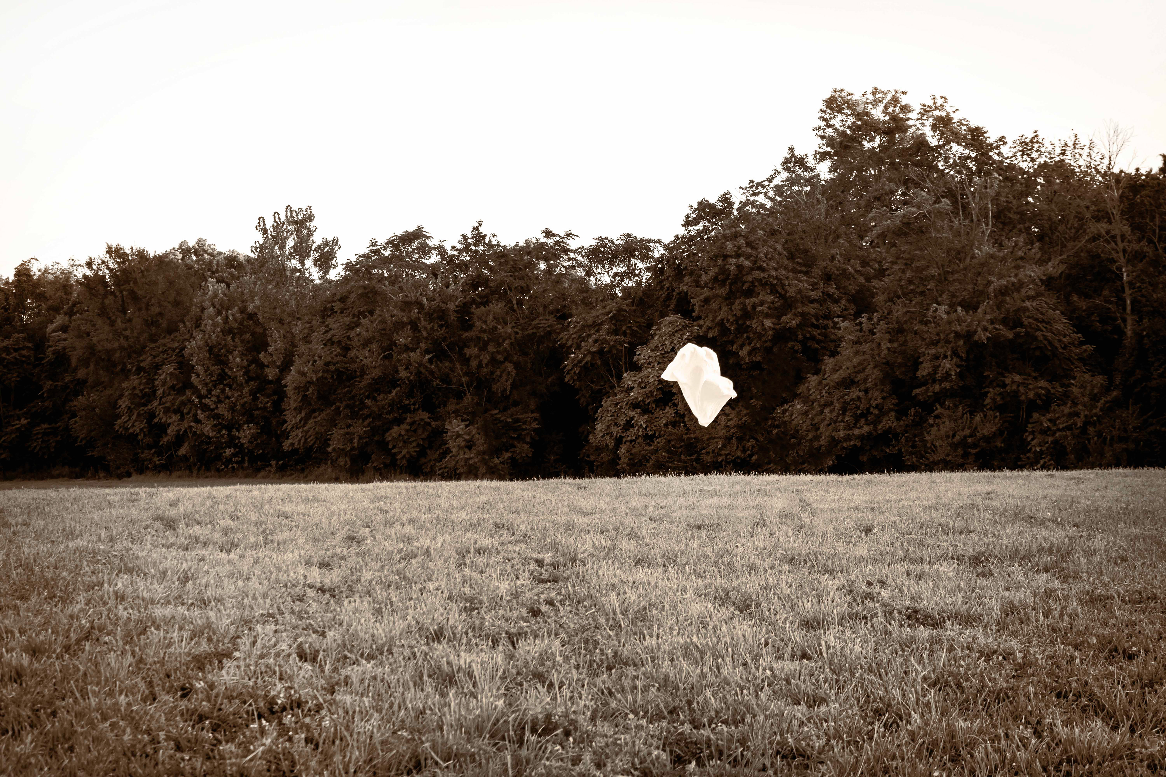 She stands in the window like the Mona Lisa in her frame—her glow shining at dusk, proclaiming her tragic end to all who see her.